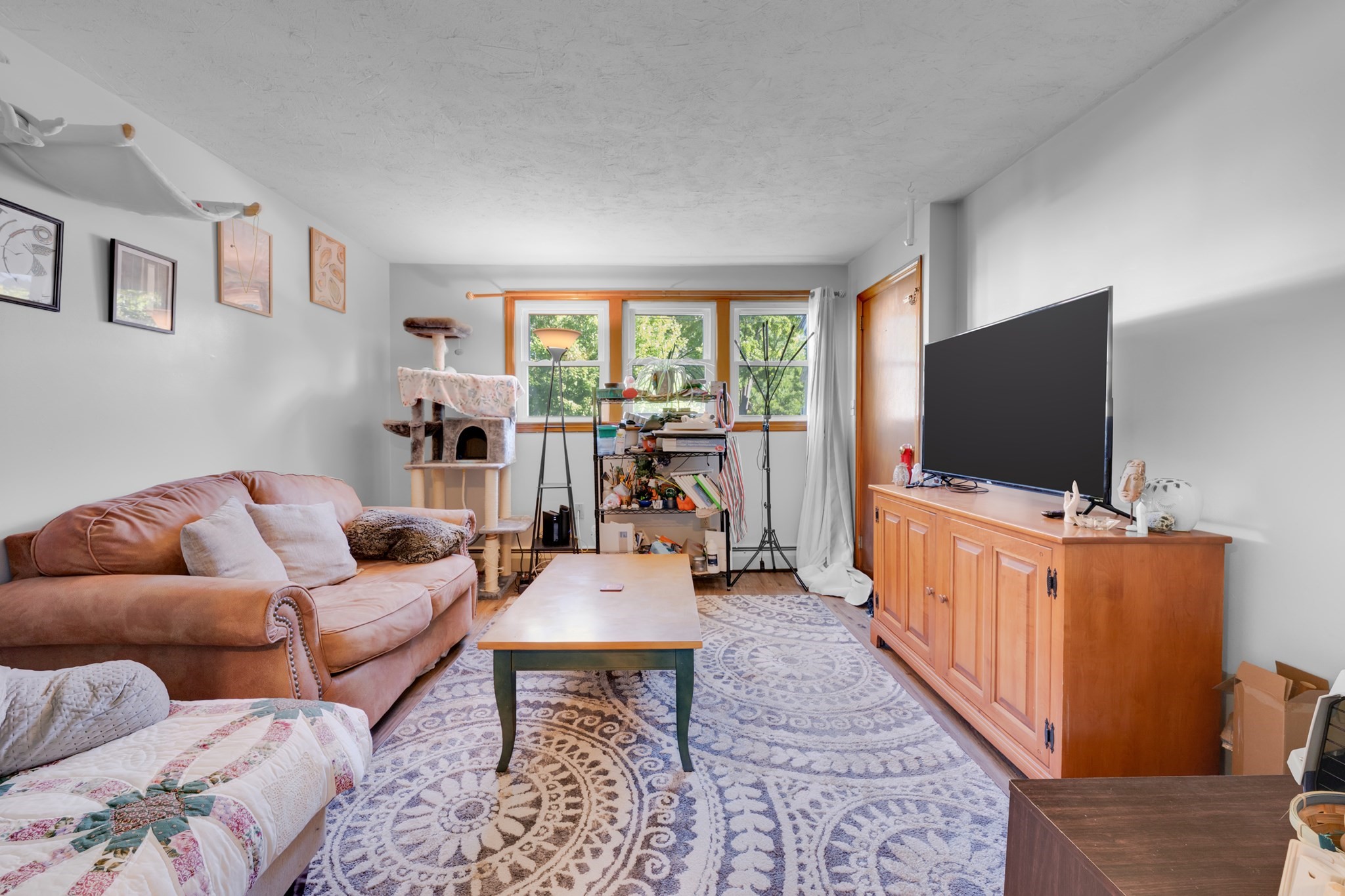 1 Elm St Property Photo 4