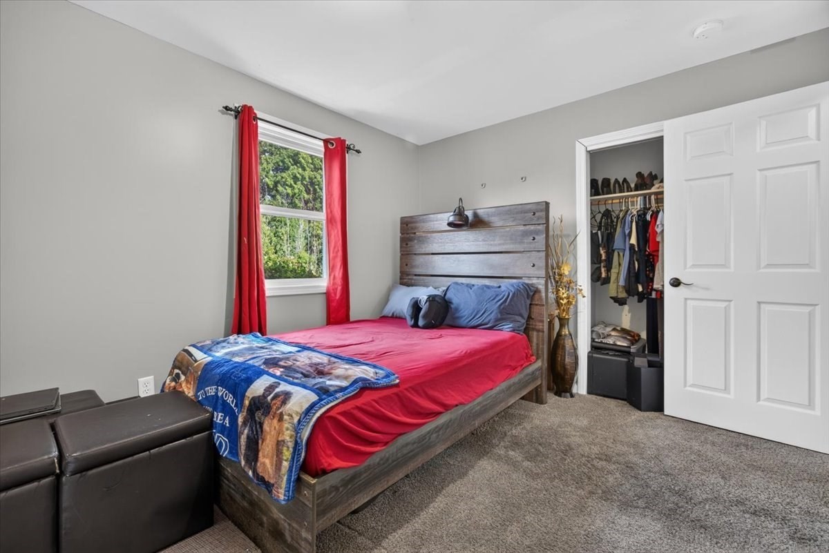 49 Shirley St Property Photo 15