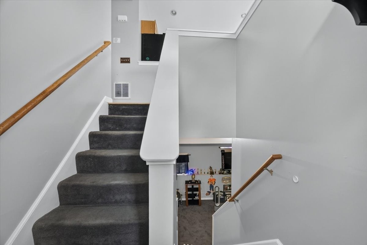 49 Shirley St Property Photo 20
