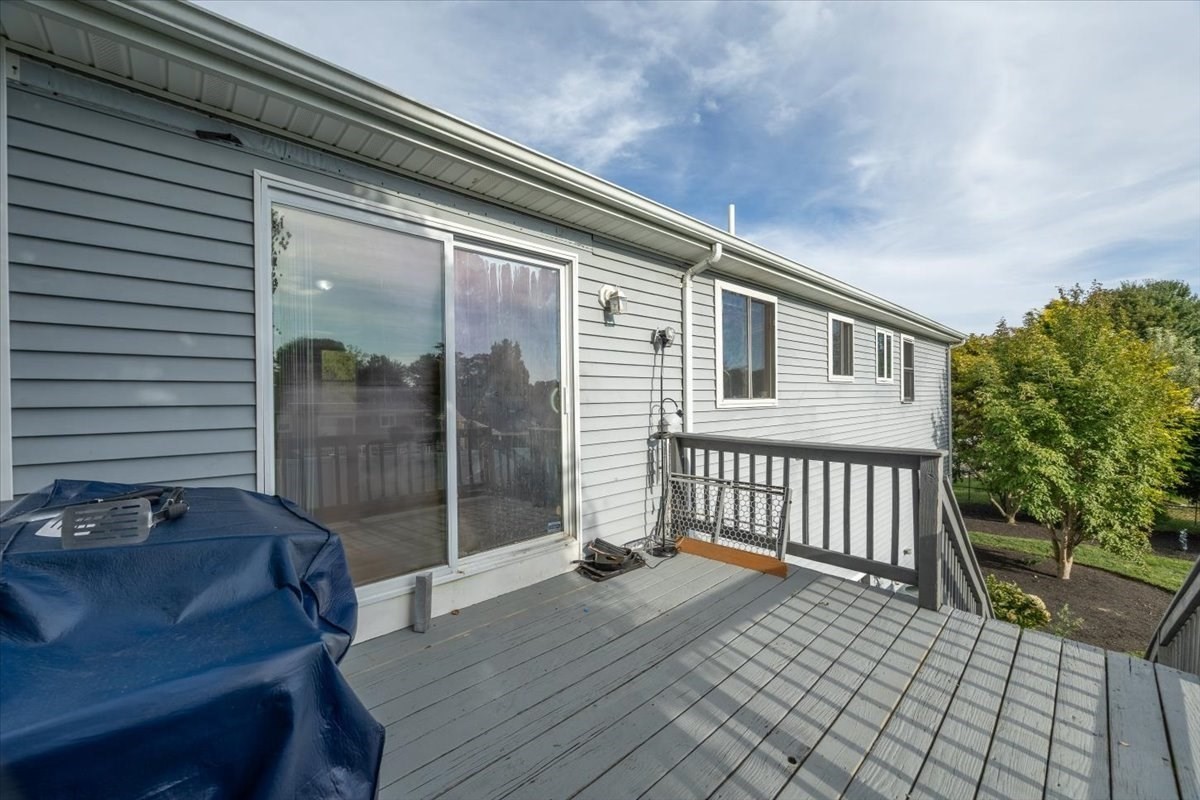 49 Shirley St Property Photo 29