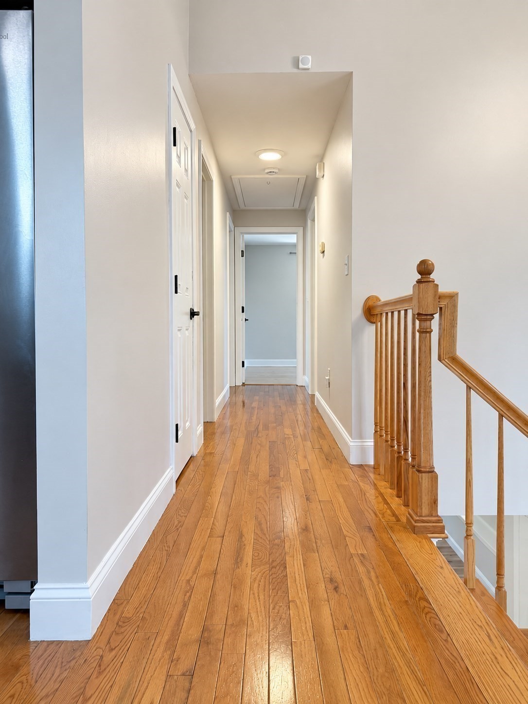 7 Vincent St. Property Photo 12