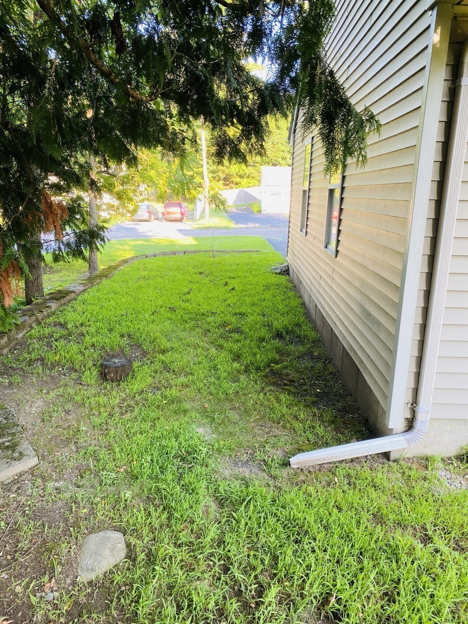 5 Nathaniel St Property Photo 6