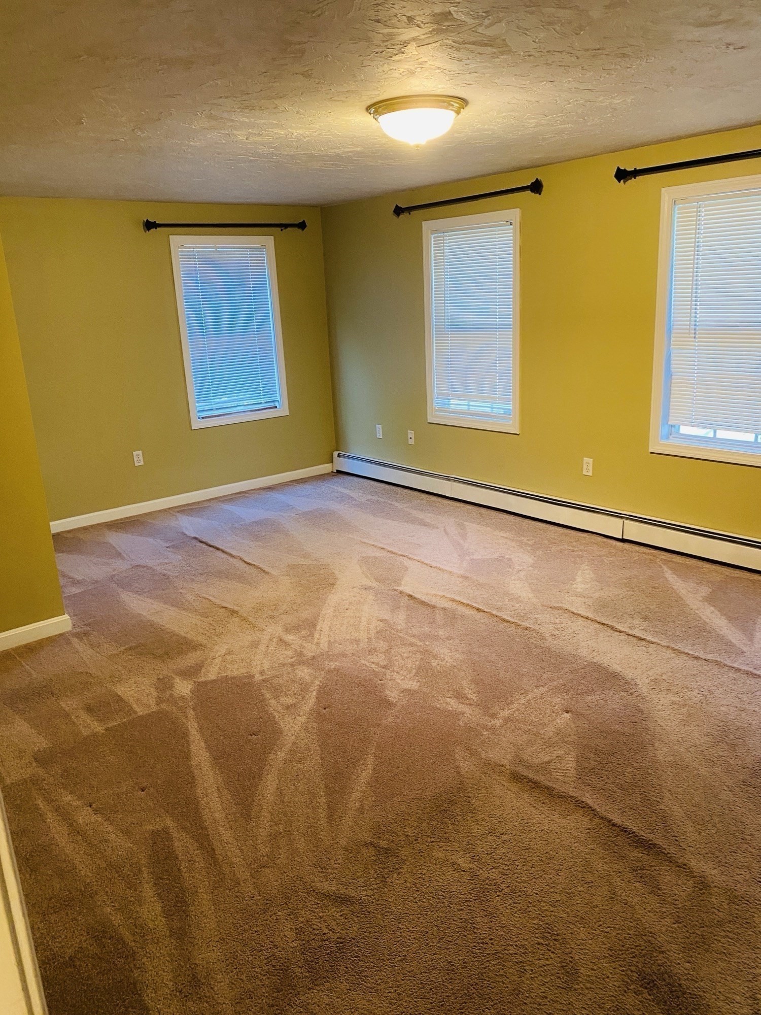 5 Nathaniel St Property Photo 9
