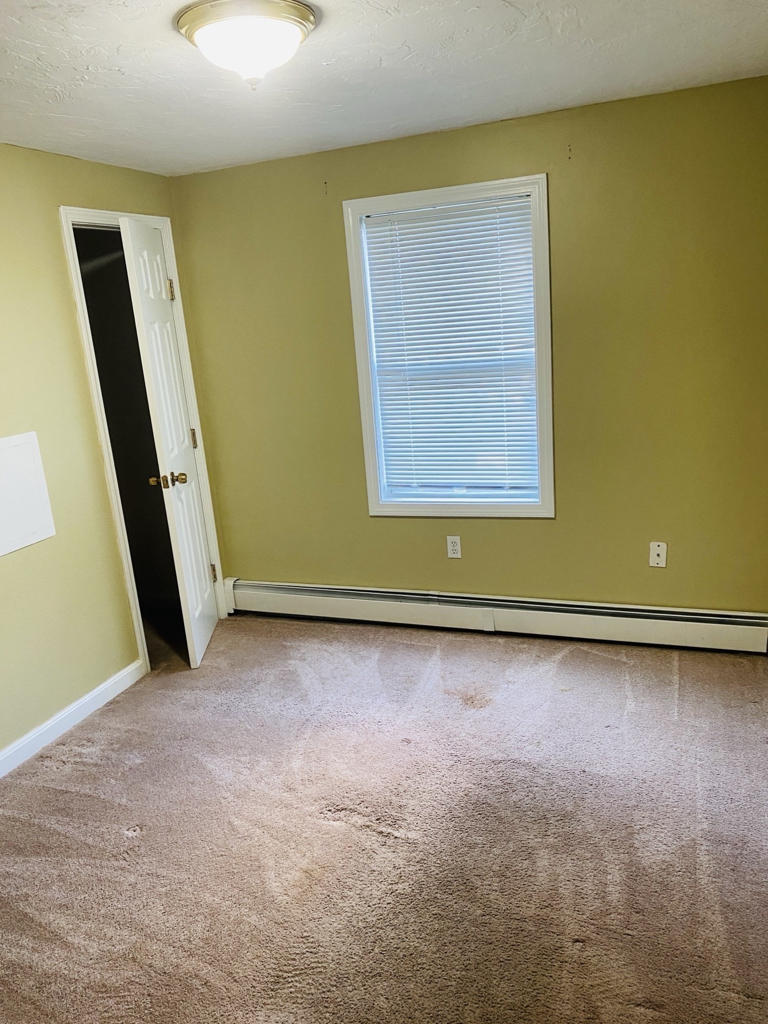 5 Nathaniel St Property Photo 10