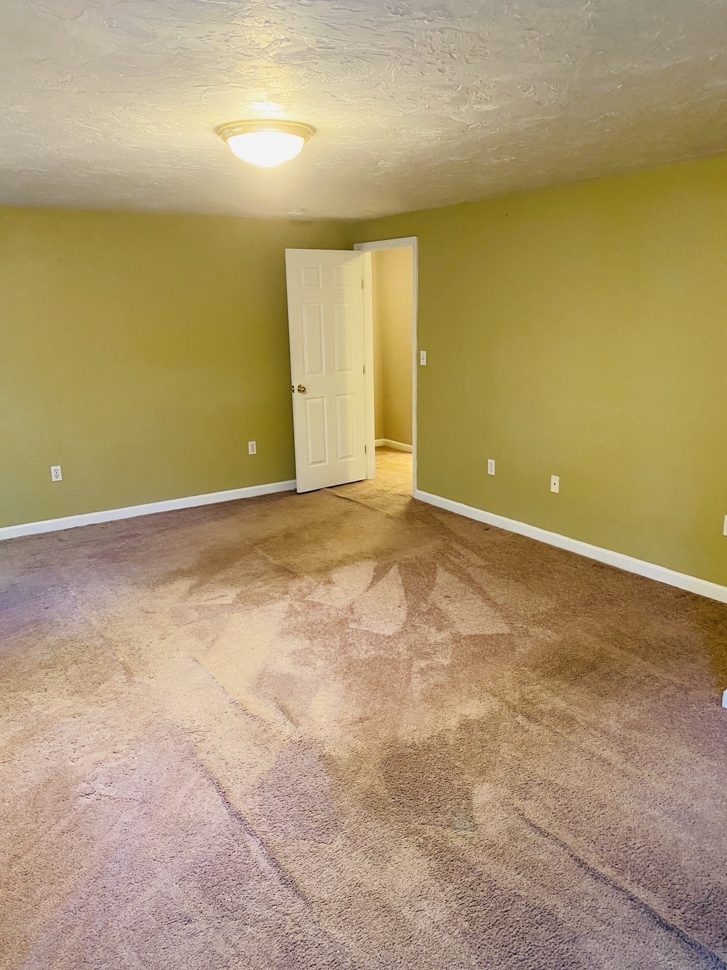 5 Nathaniel St Property Photo 11