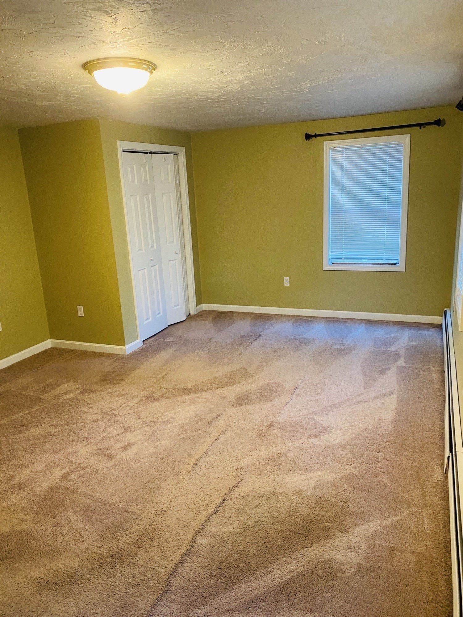 5 Nathaniel St Property Photo 12