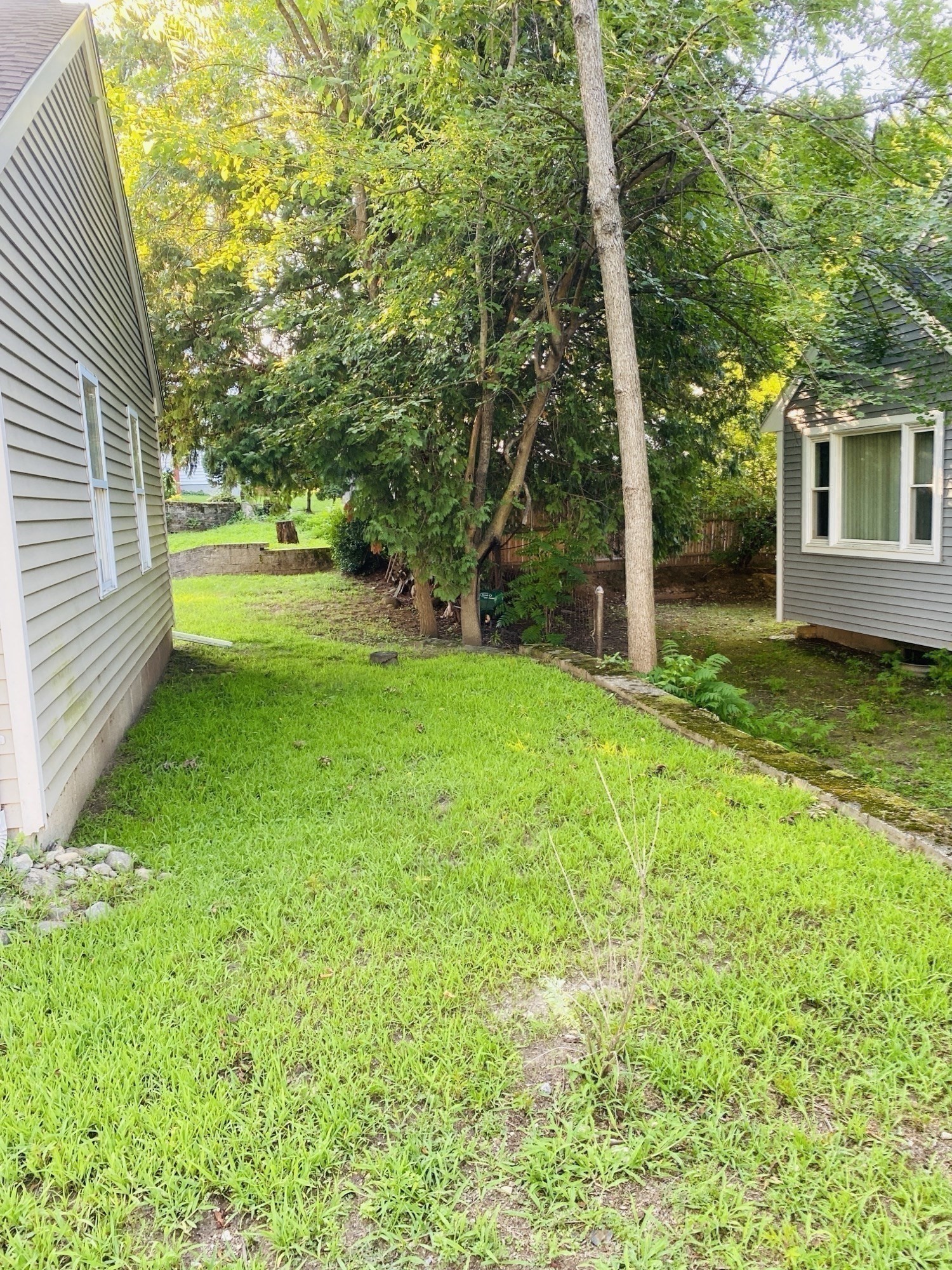 5 Nathaniel St Property Photo 15
