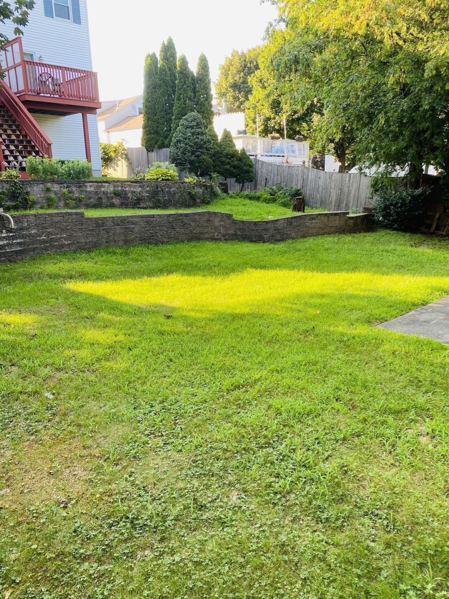 5 Nathaniel St Property Photo 16