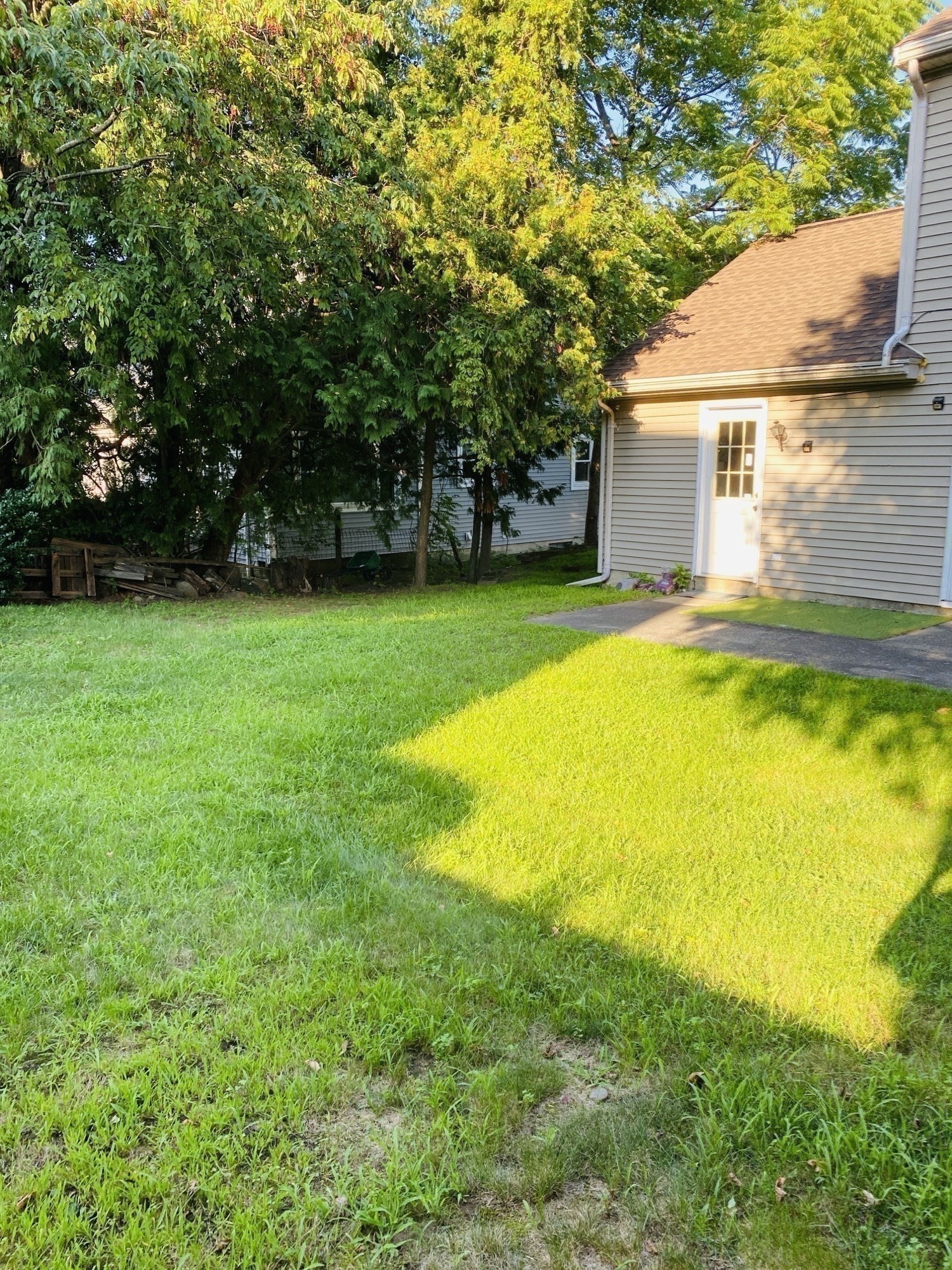 5 Nathaniel St Property Photo 18