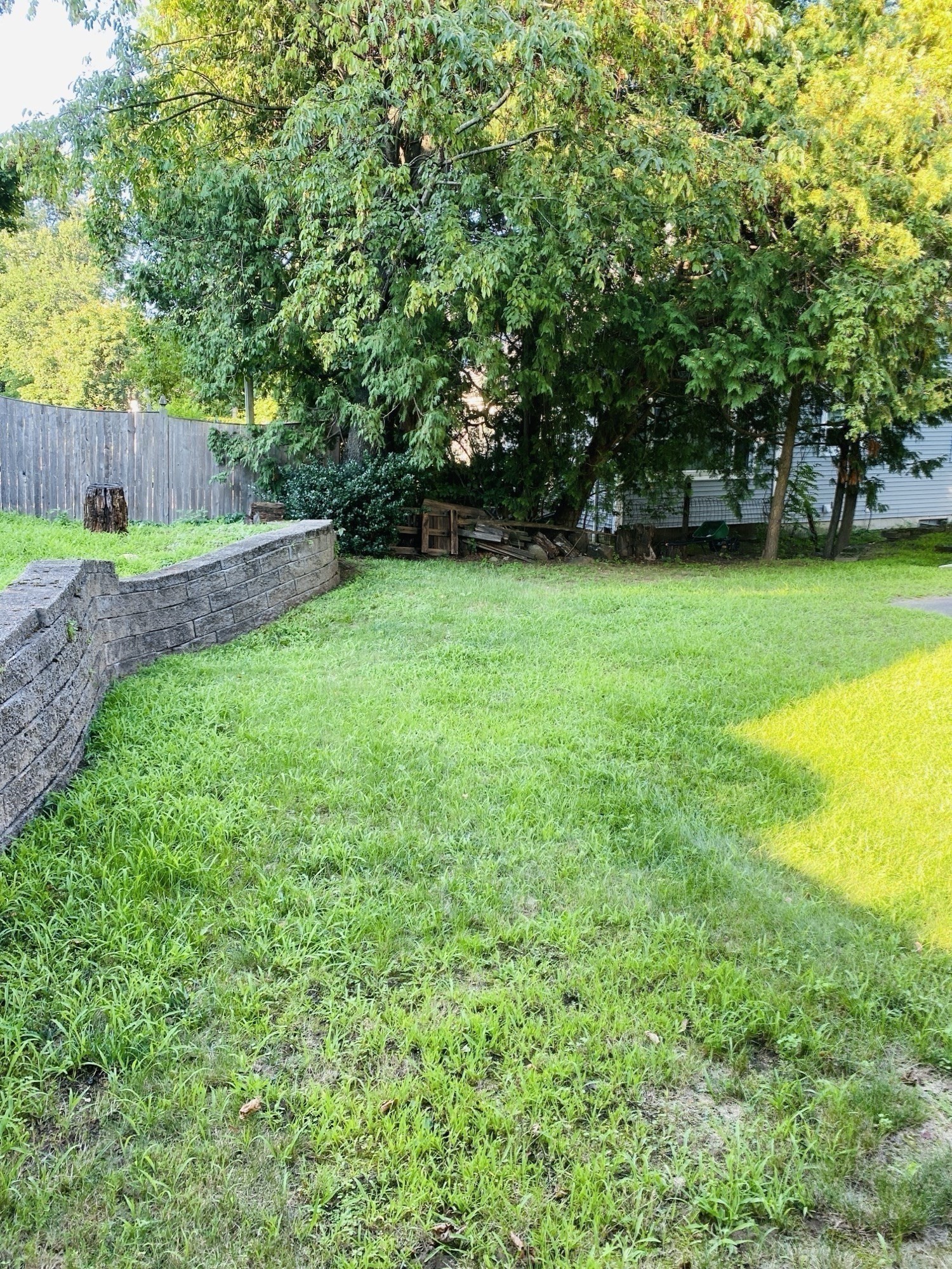 5 Nathaniel St Property Photo 19