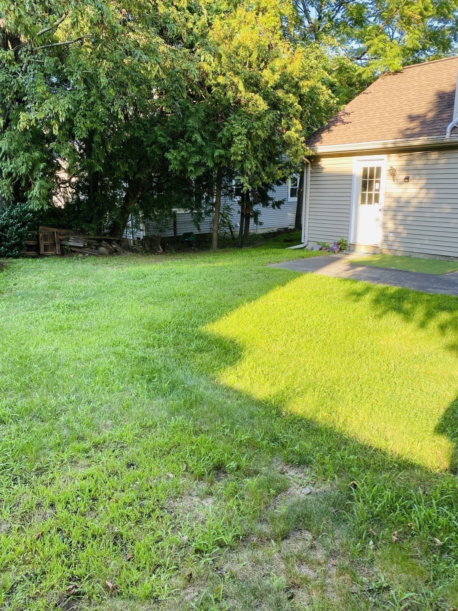 5 Nathaniel St Property Photo 20