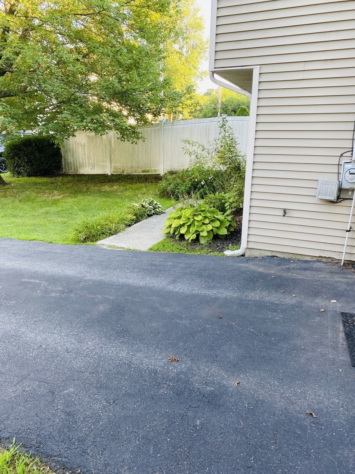 5 Nathaniel St Property Photo 23
