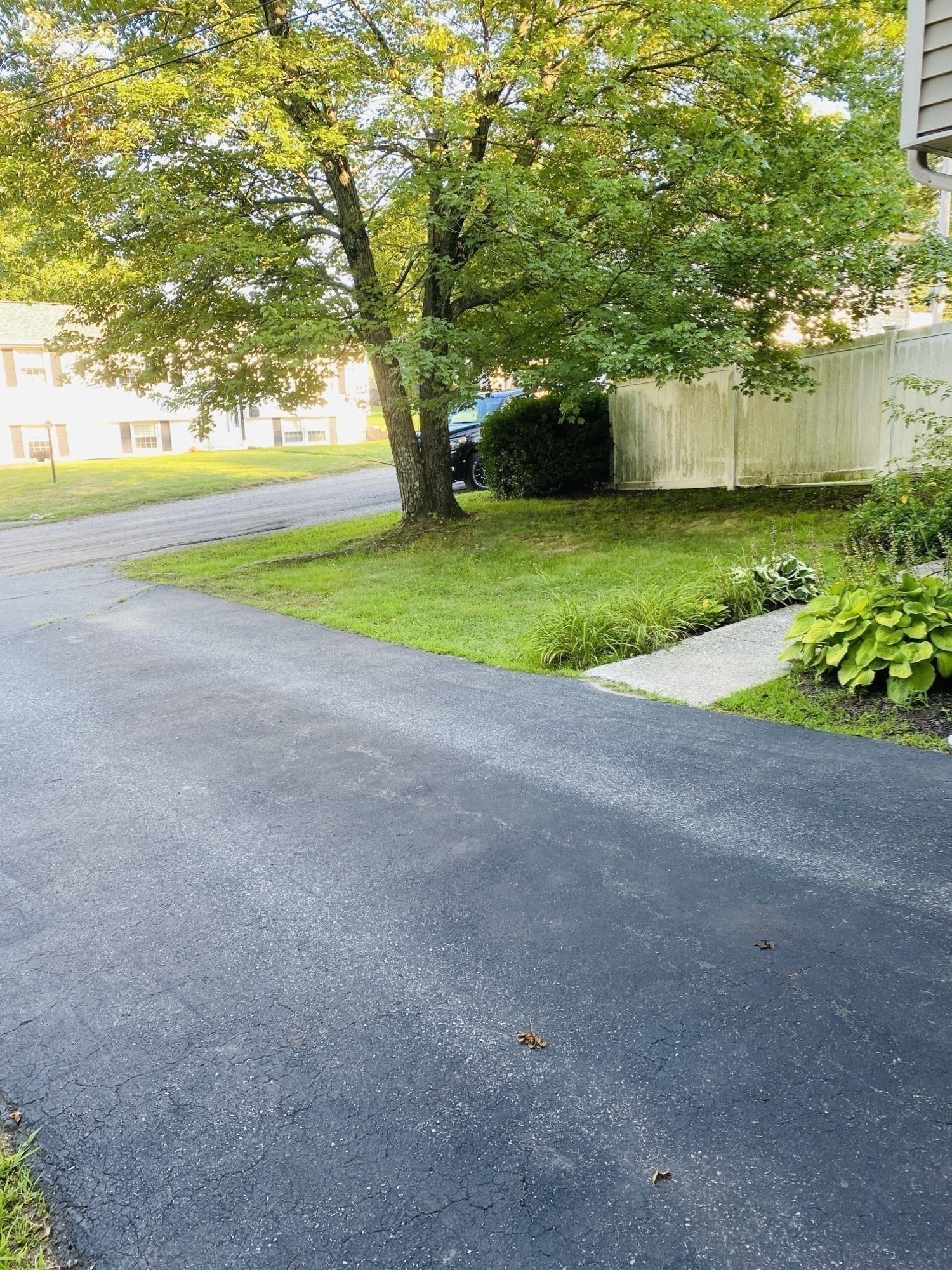 5 Nathaniel St Property Photo 24