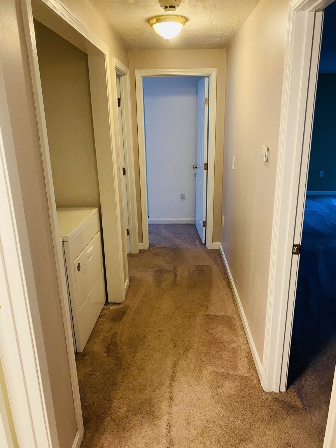 5 Nathaniel St Property Photo 28