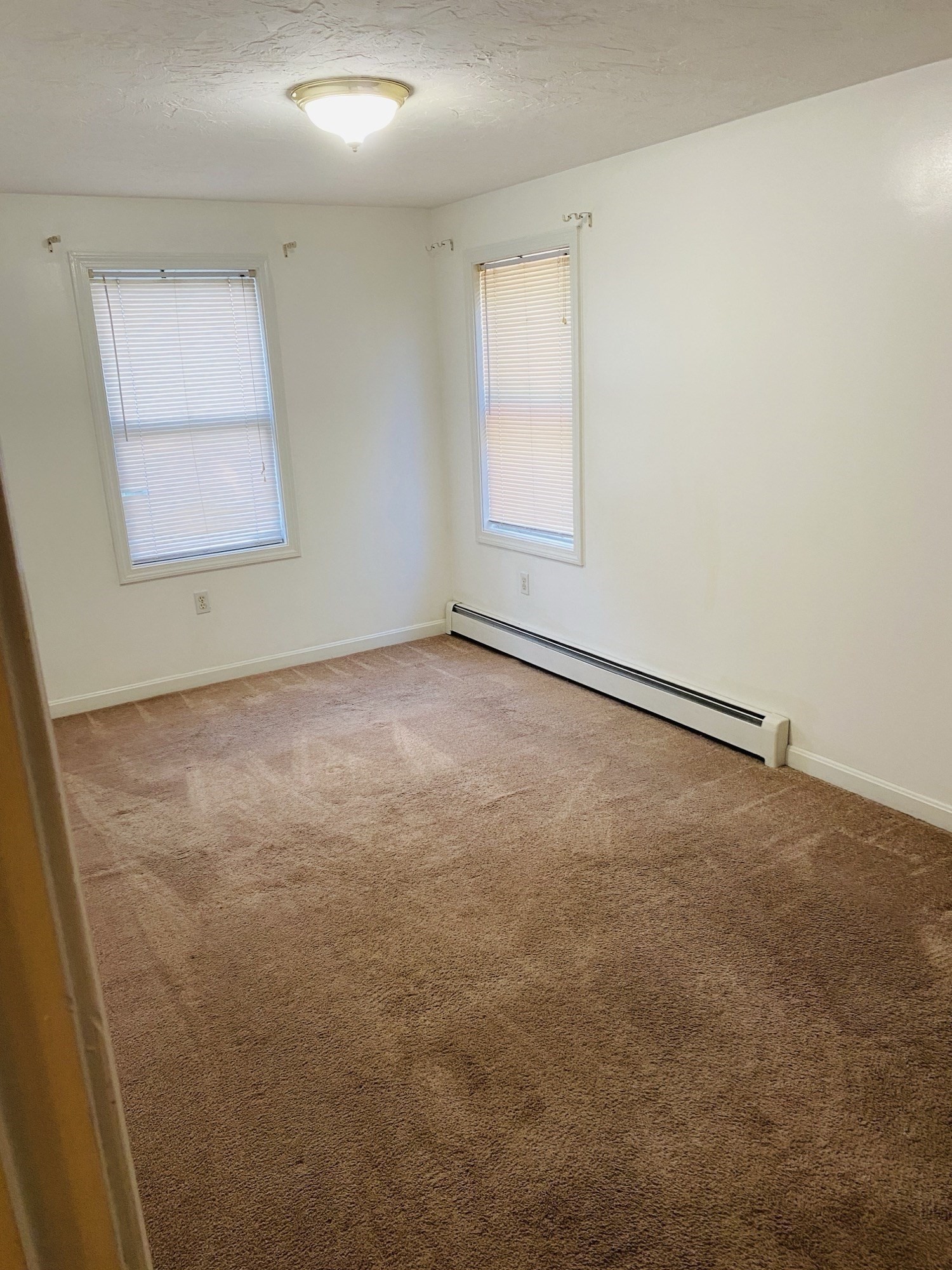 5 Nathaniel St Property Photo 29