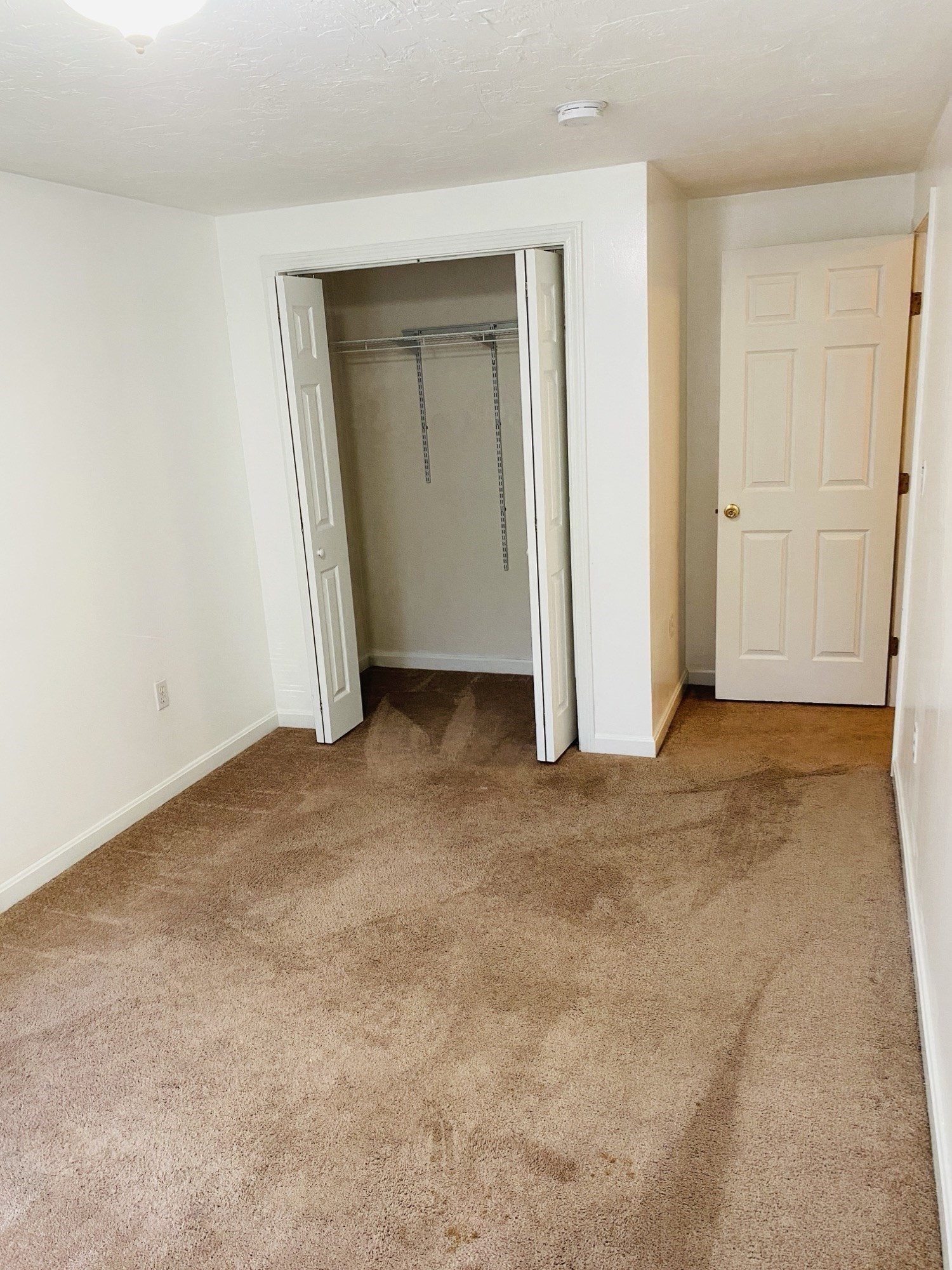 5 Nathaniel St Property Photo 30