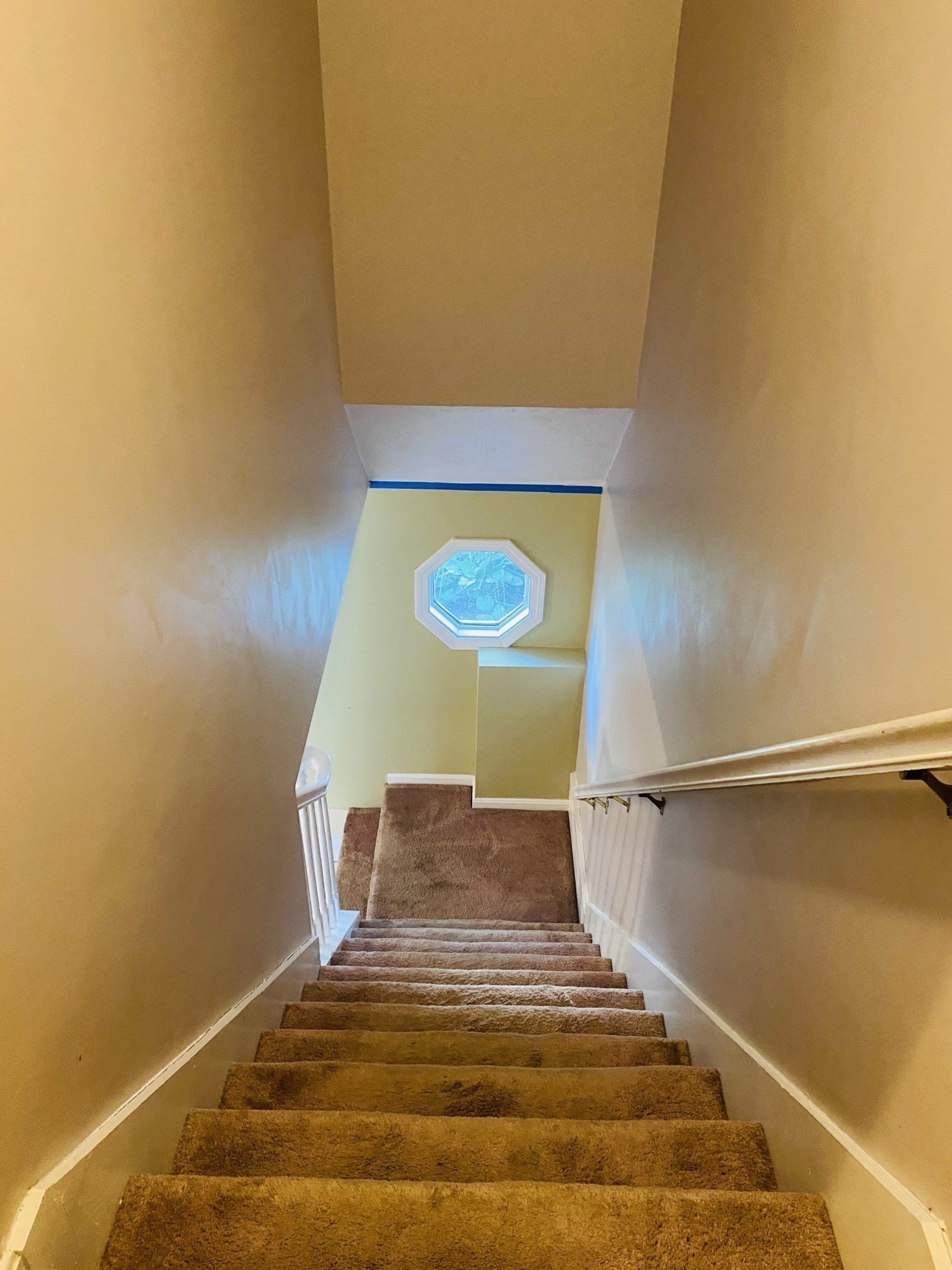 5 Nathaniel St Property Photo 31