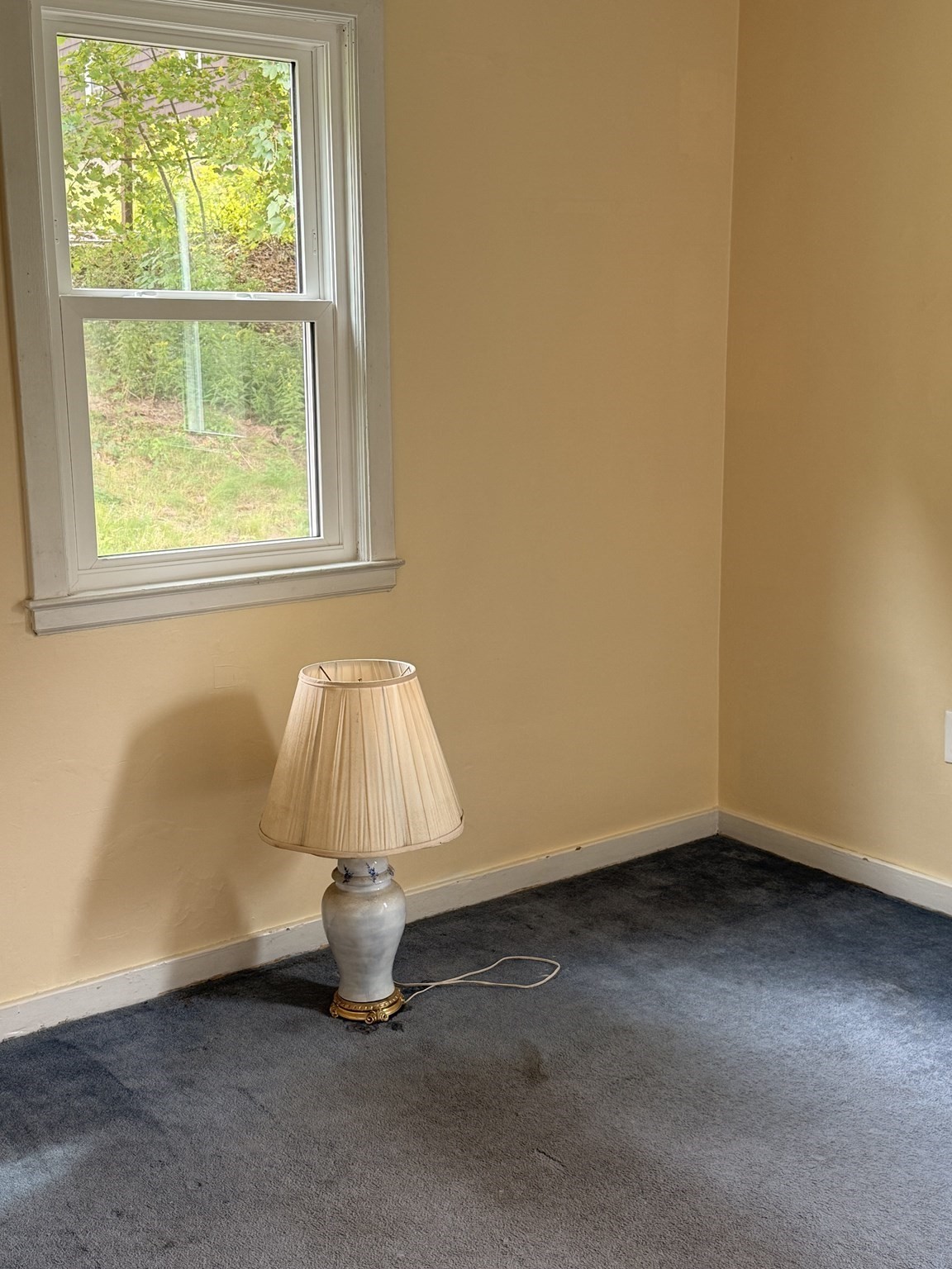 131 Anzio Rd Property Photo 10