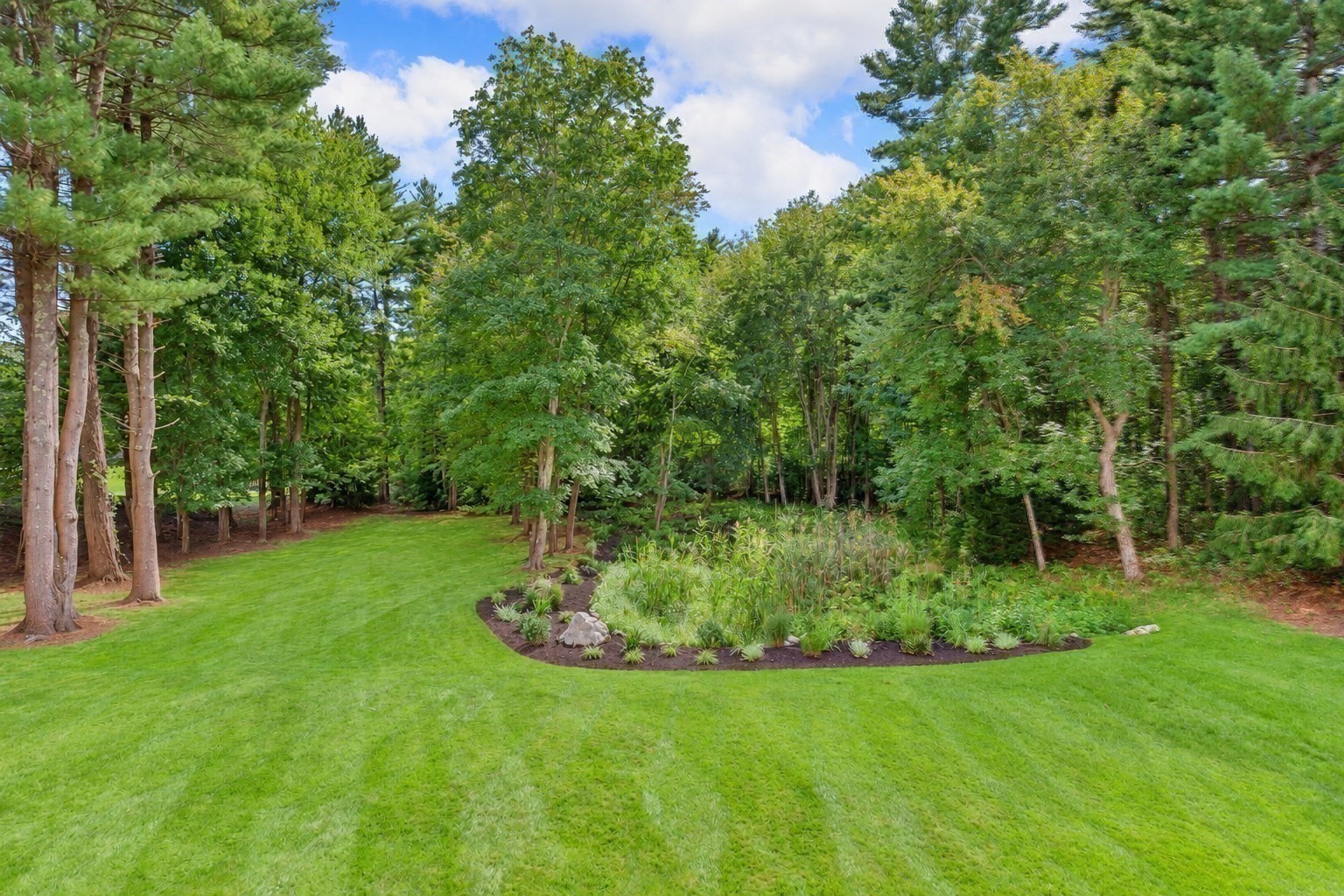 153 Essex St. Property Photo 41