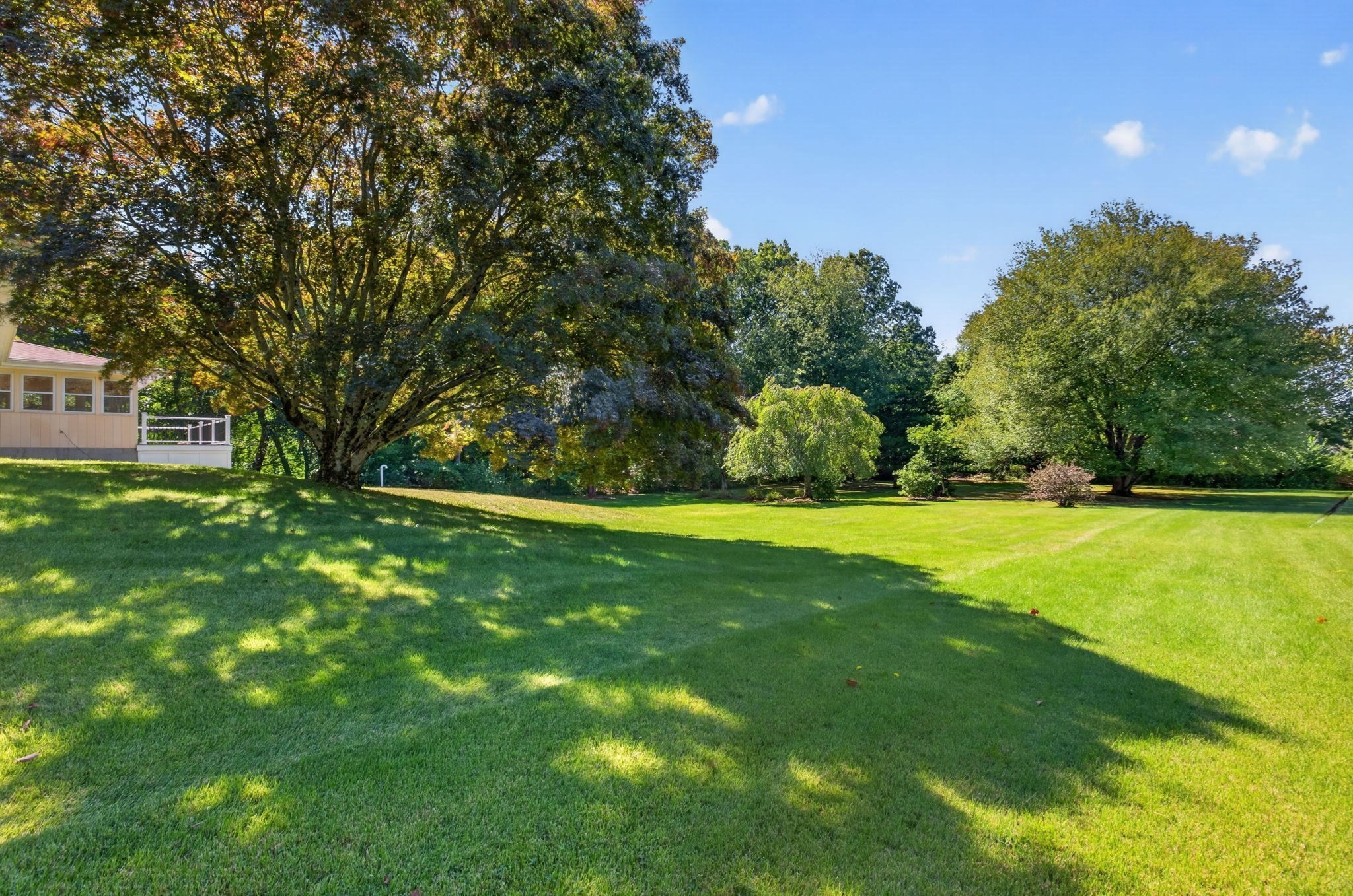 133 Cole Street Property Photo 2