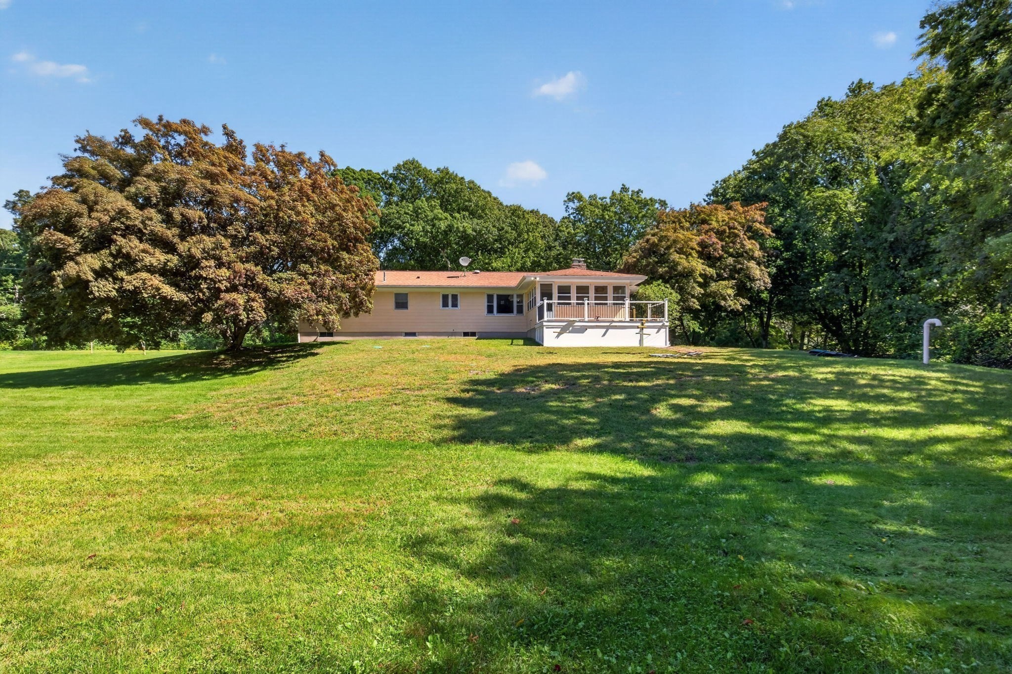 133 Cole Street Property Photo 38
