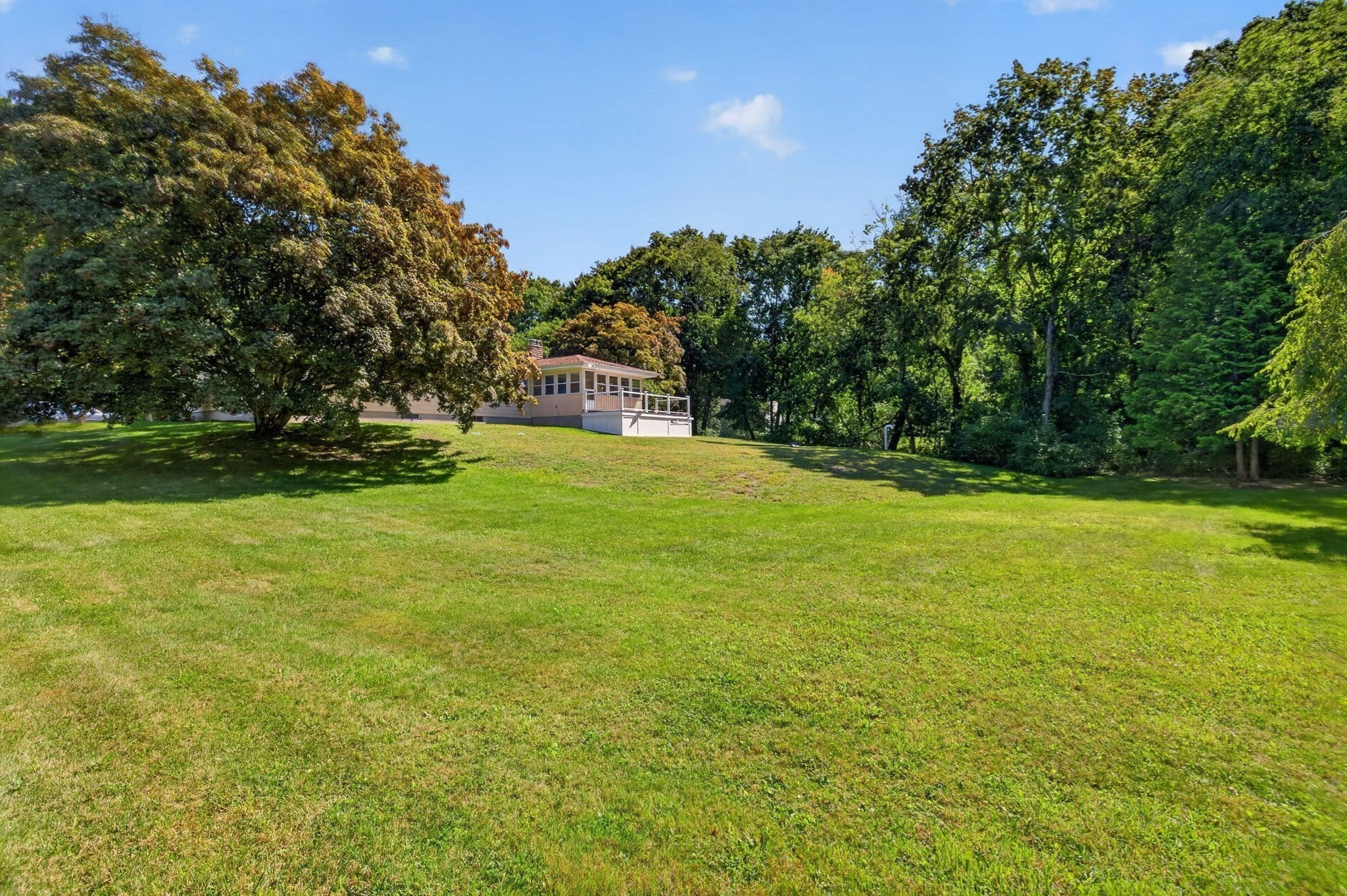 133 Cole Street Property Photo 40