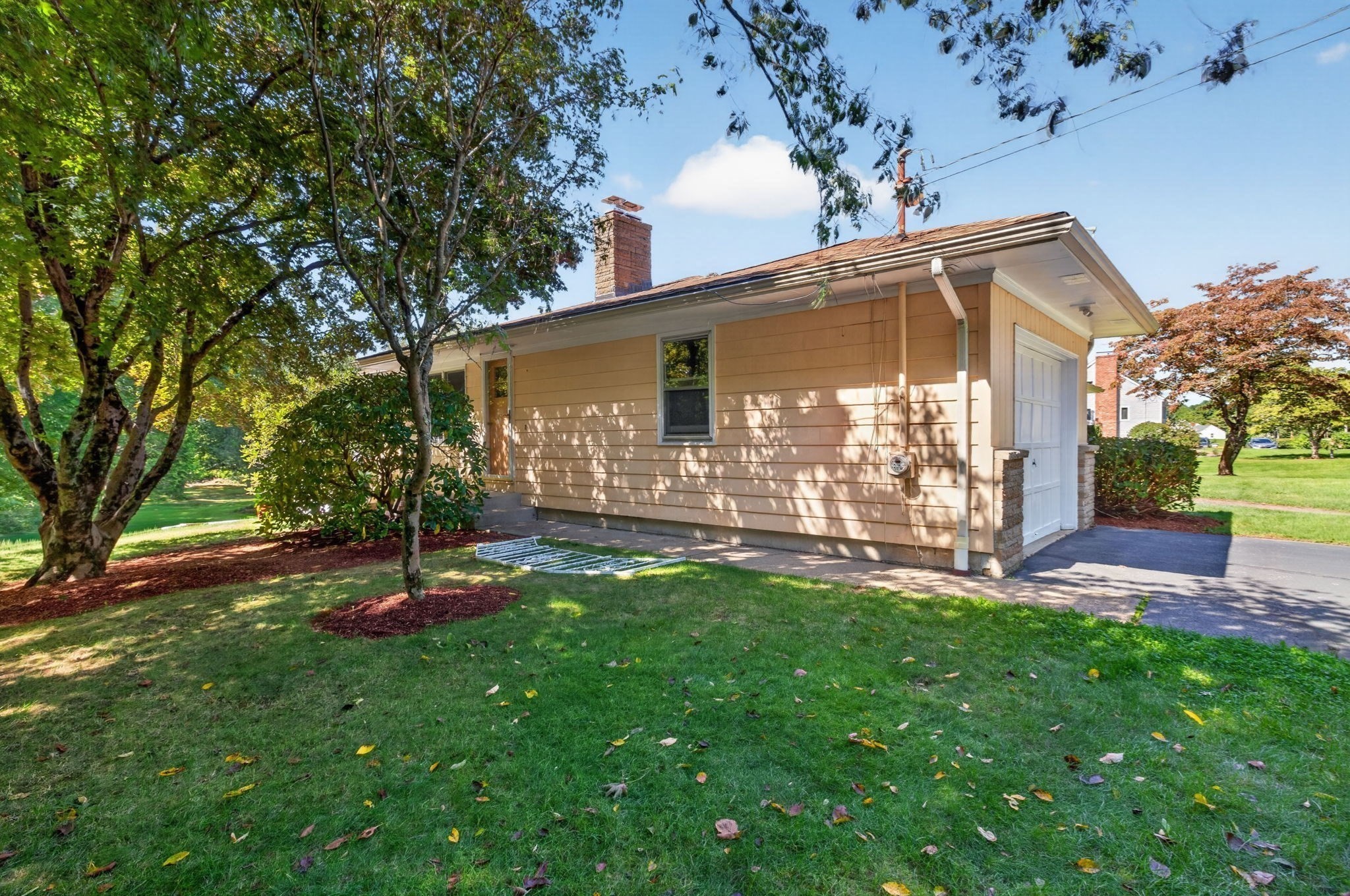 133 Cole Street Property Photo 41