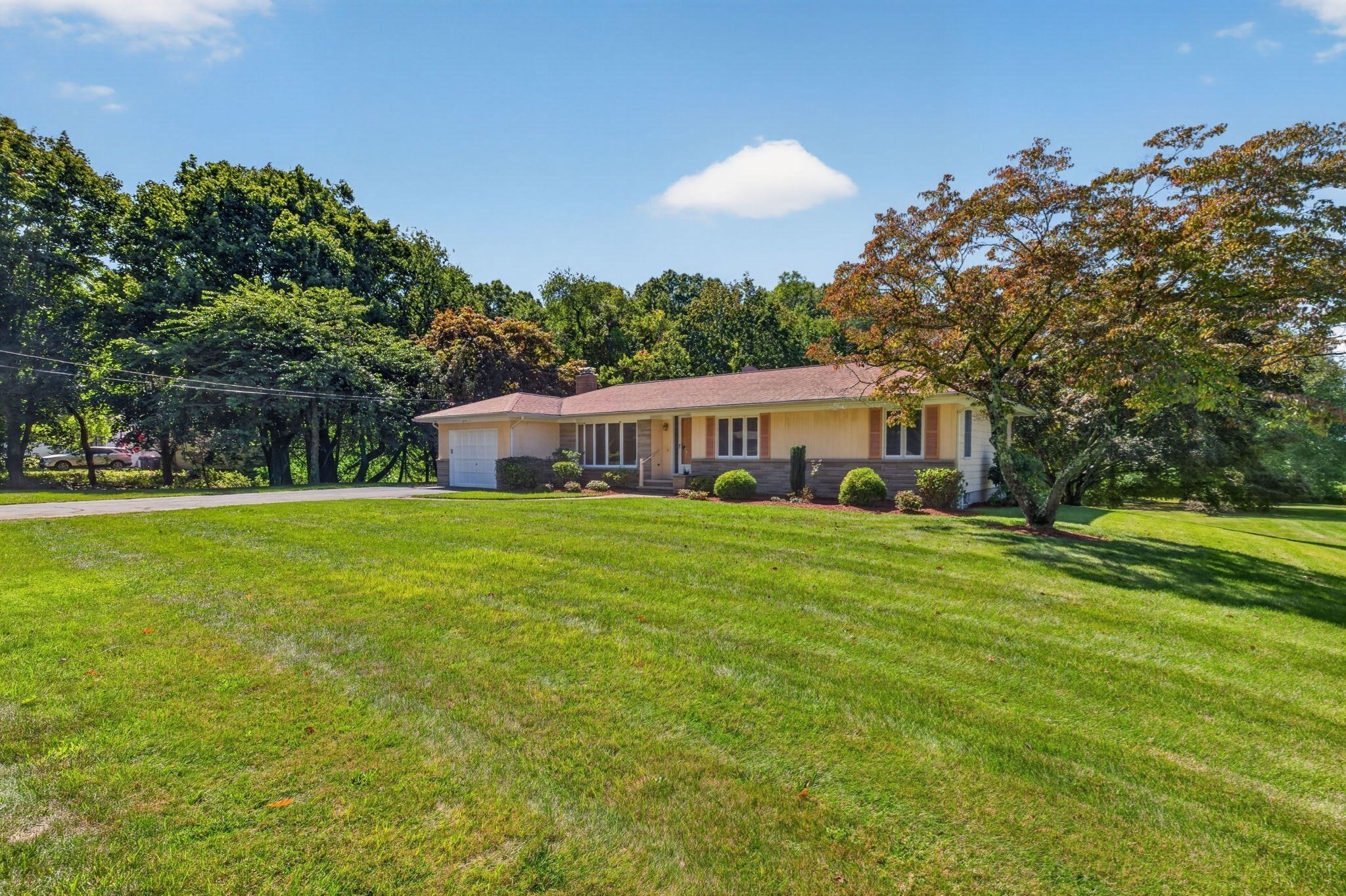 133 Cole Street Property Photo 42