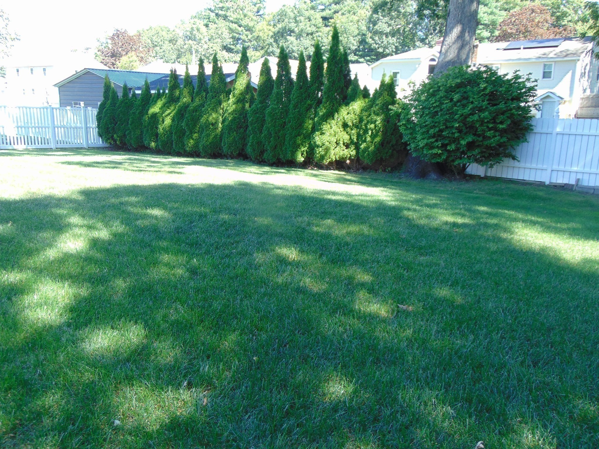 123 Eva Drive Property Photo 40