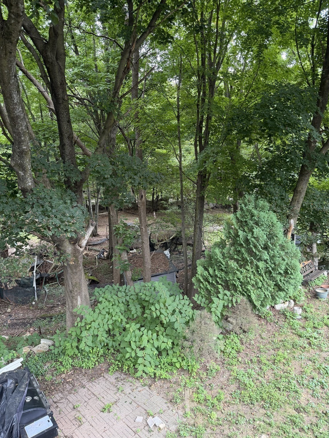 76 Main Street Property Photo 5