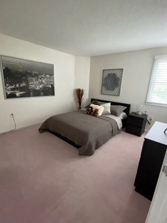 10 Merganser Way # 10 Property Photo 31