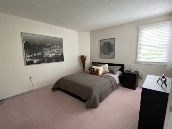 10 Merganser Way # 10 Property Photo 32