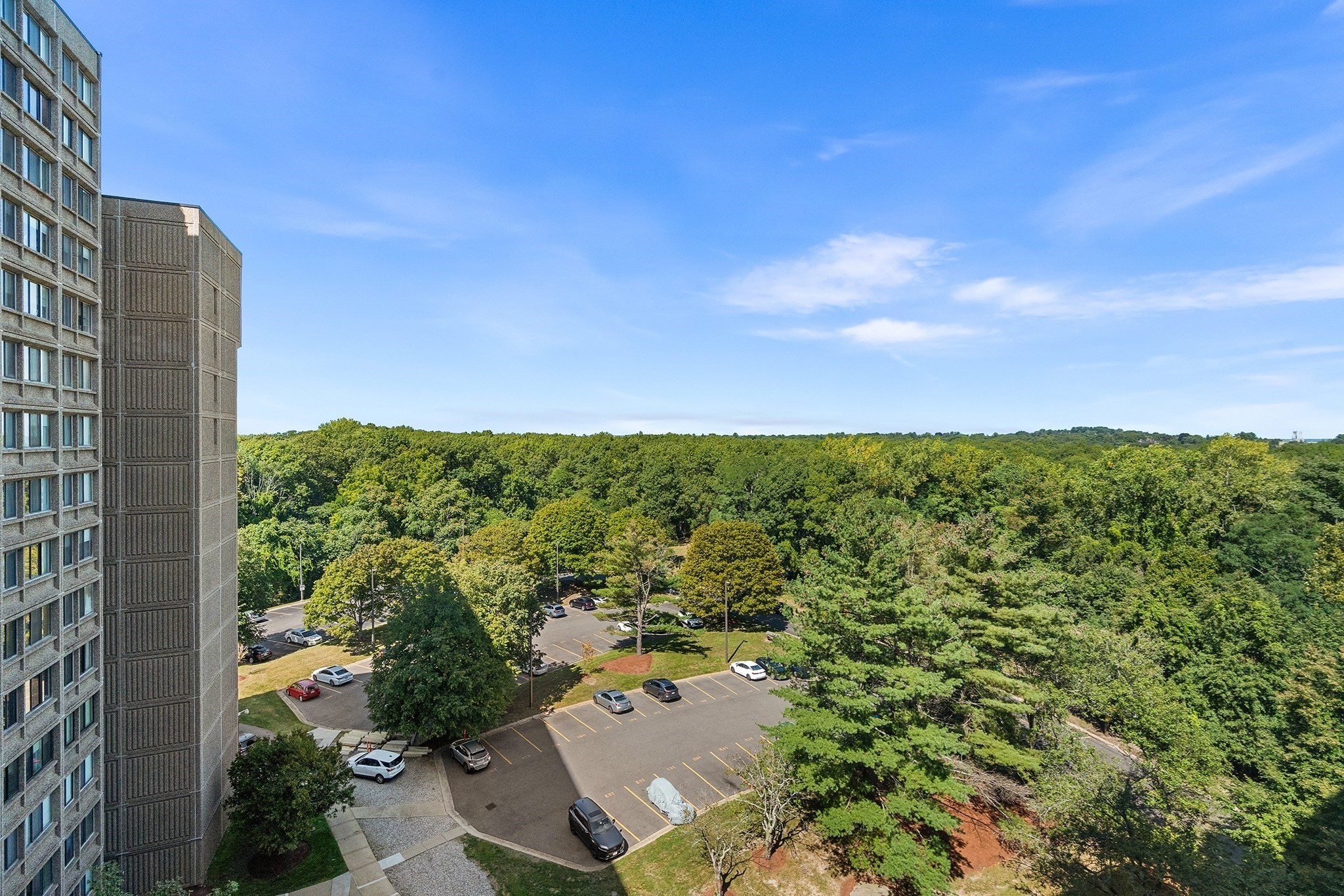 250 Hammond Pond Pkwy # 1006n Property Photo 38