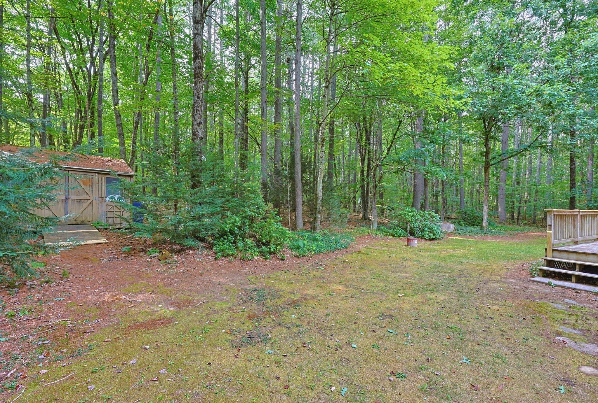 48 Boynton Street Property Photo 5