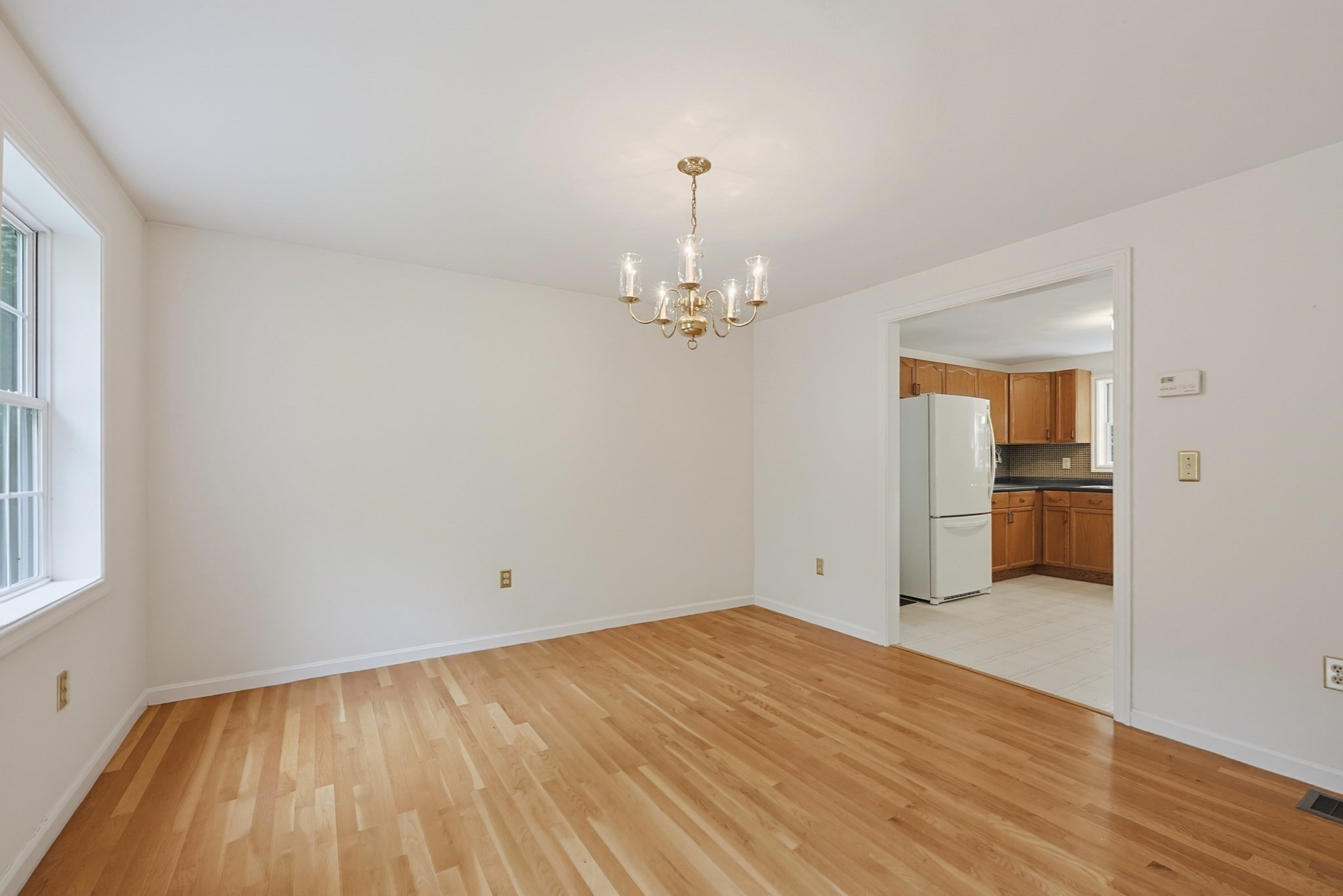 48 Boynton Street Property Photo 17