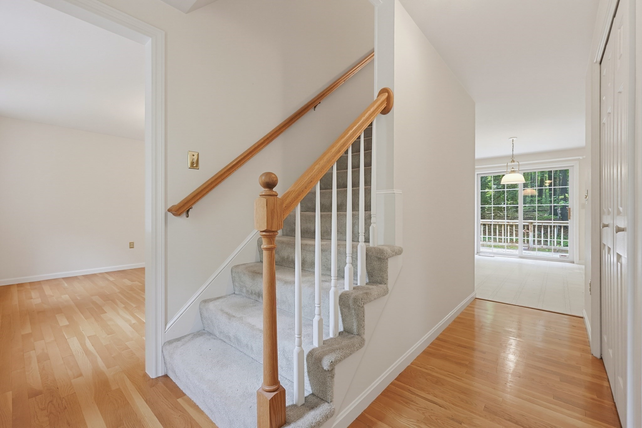 48 Boynton Street Property Photo 21