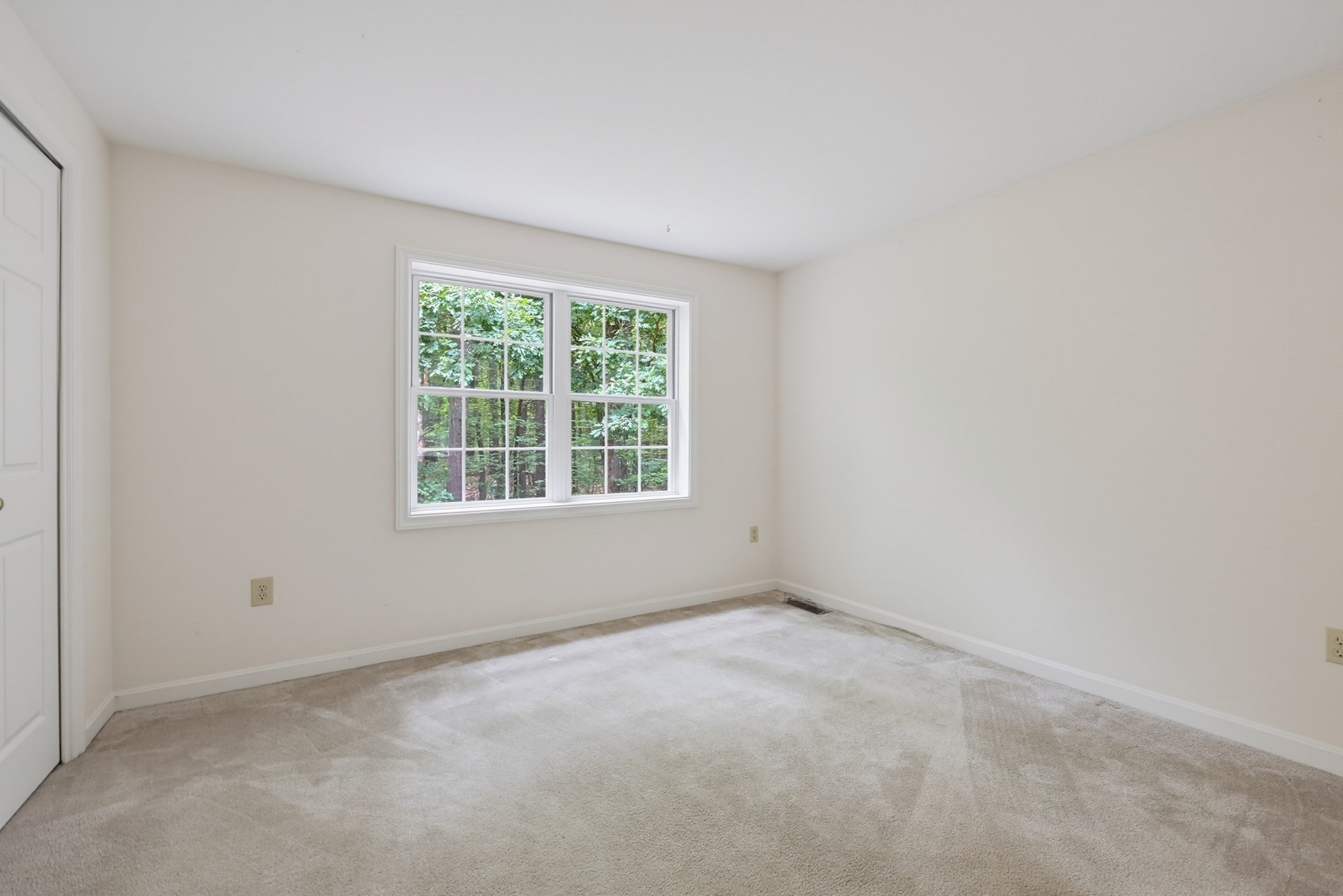 48 Boynton Street Property Photo 26