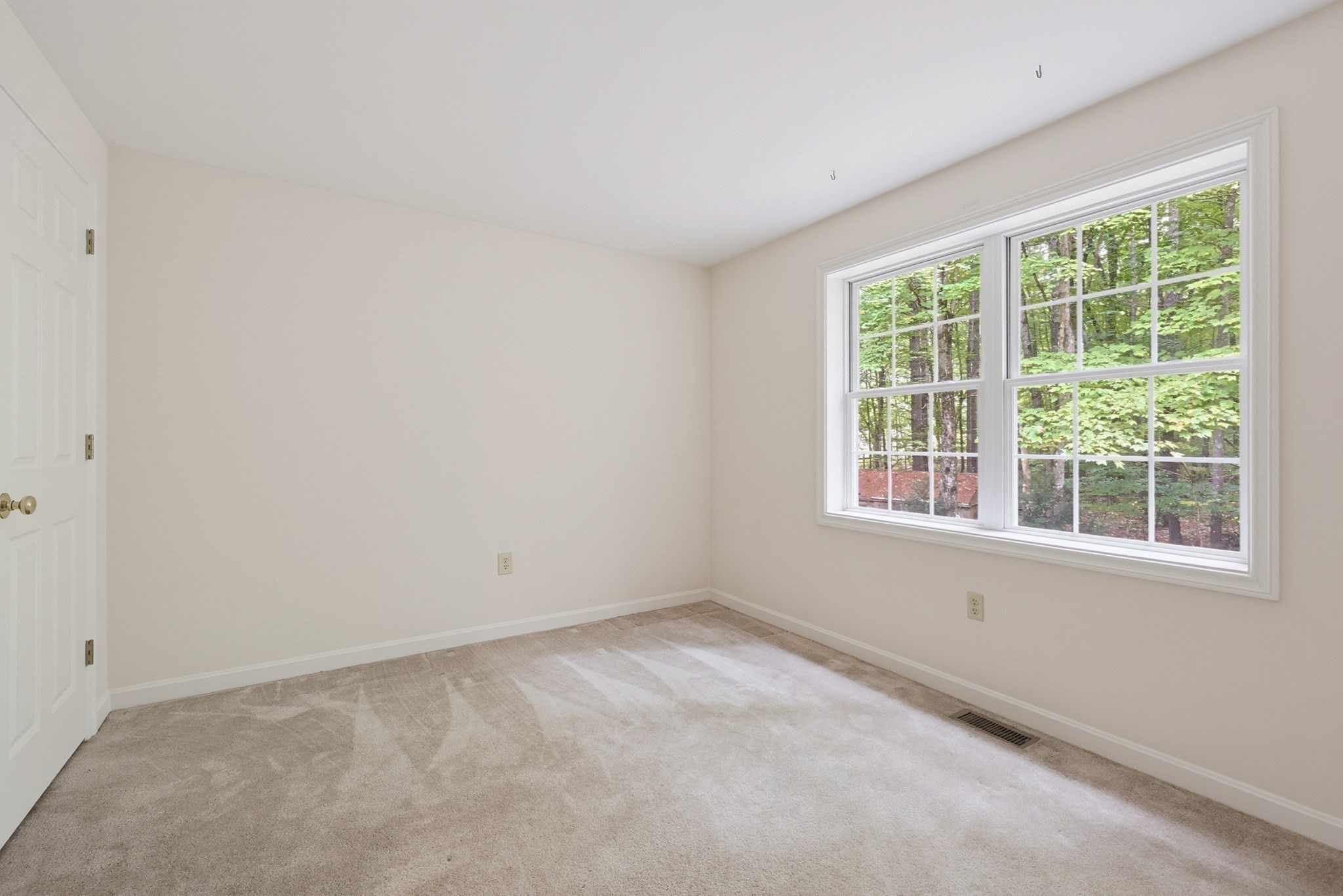 48 Boynton Street Property Photo 31