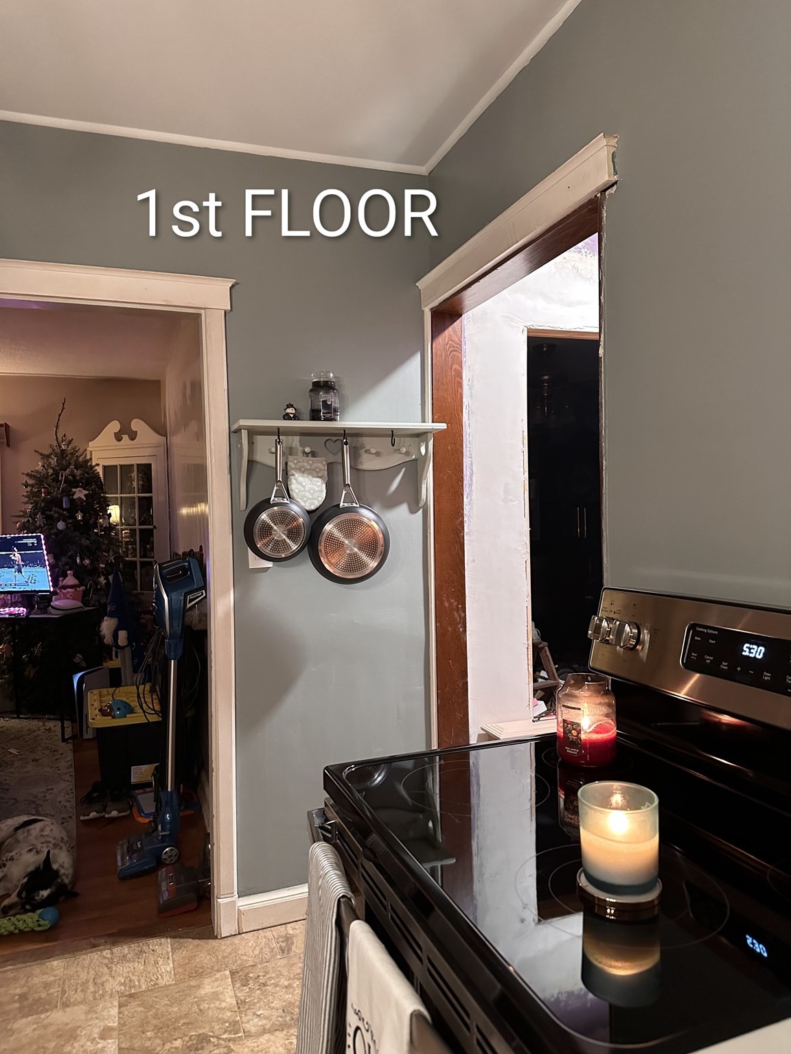21 Hudson Street Property Photo 10