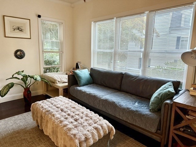 8 Winthrop St Property Photo 18