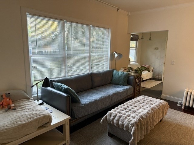 8 Winthrop St Property Photo 19