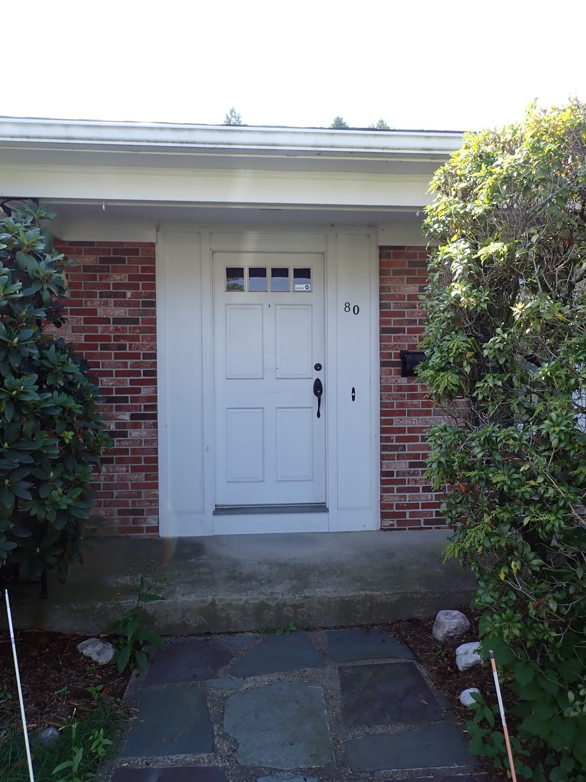 80 Hollyhock Drive Property Photo 2