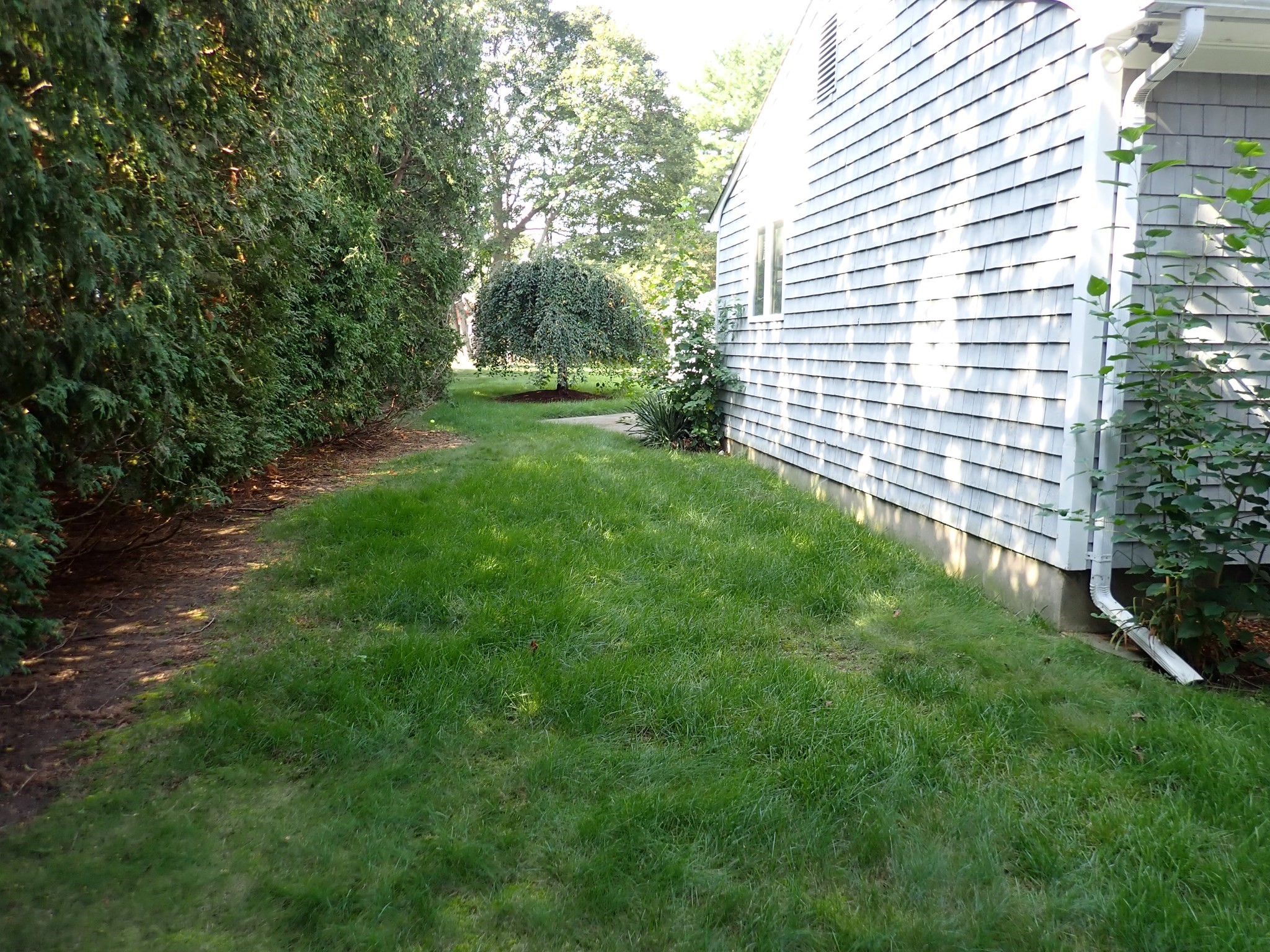 80 Hollyhock Drive Property Photo 6