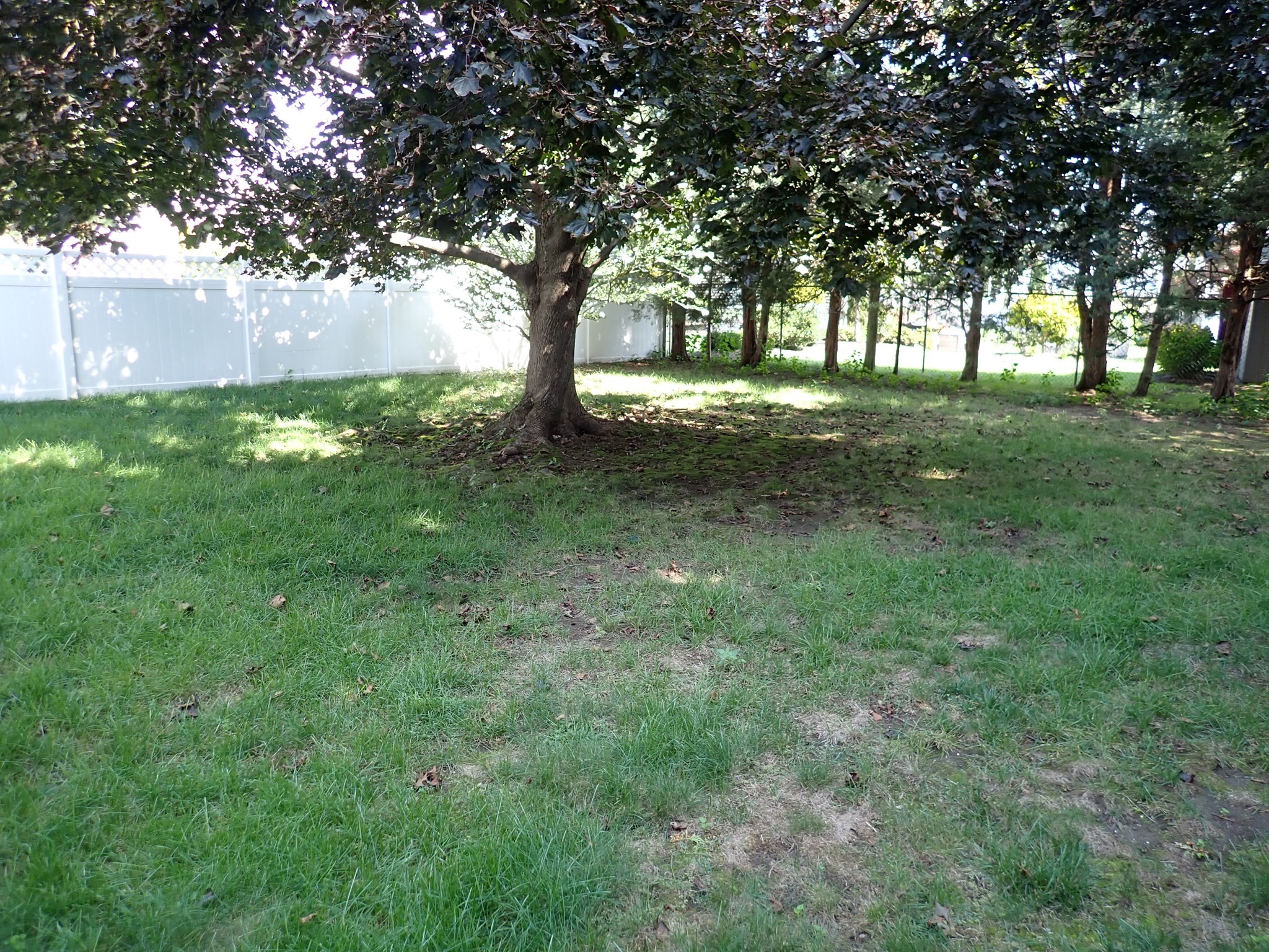 80 Hollyhock Drive Property Photo 7