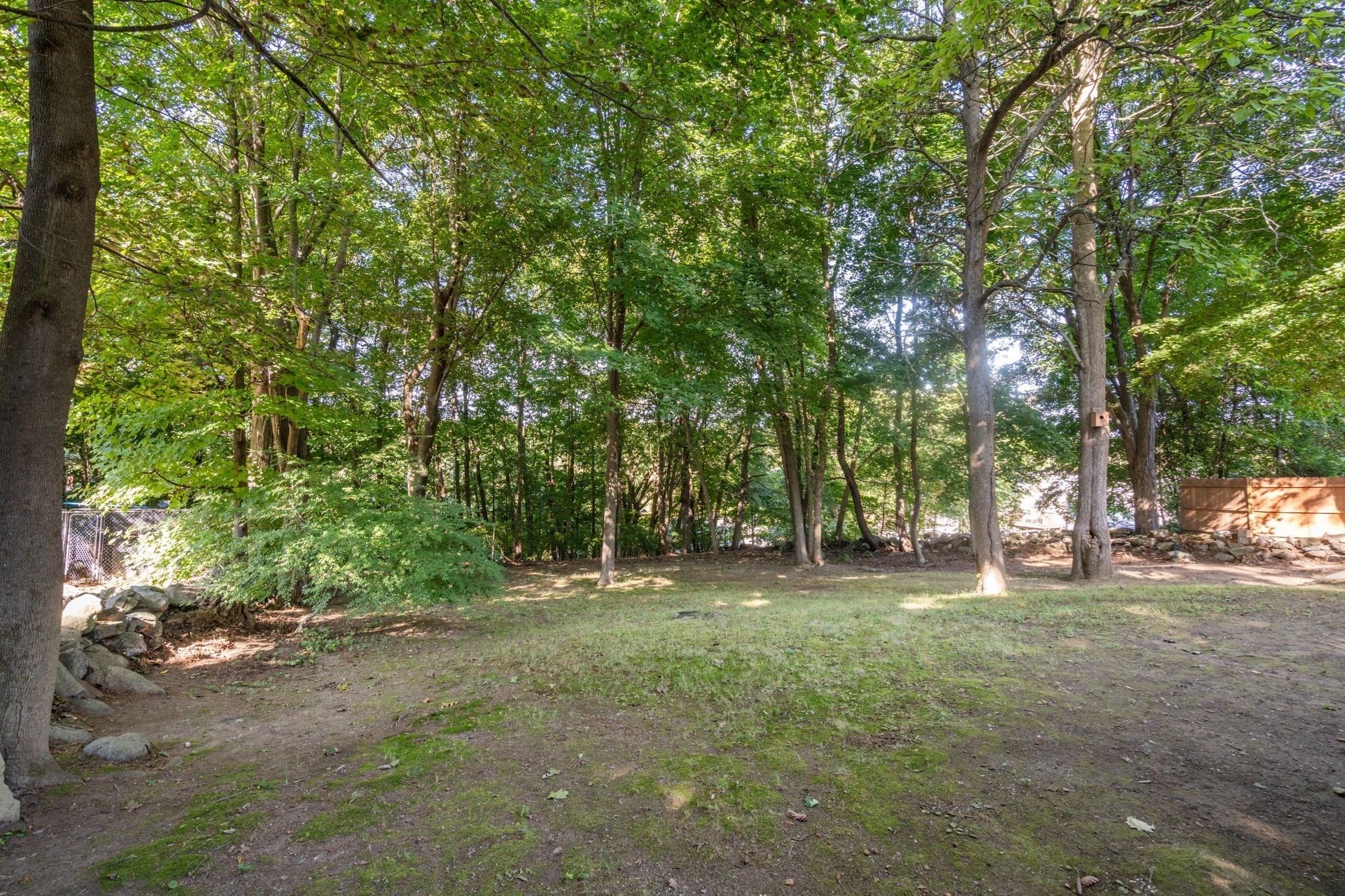 32 Elm Street Property Photo 35