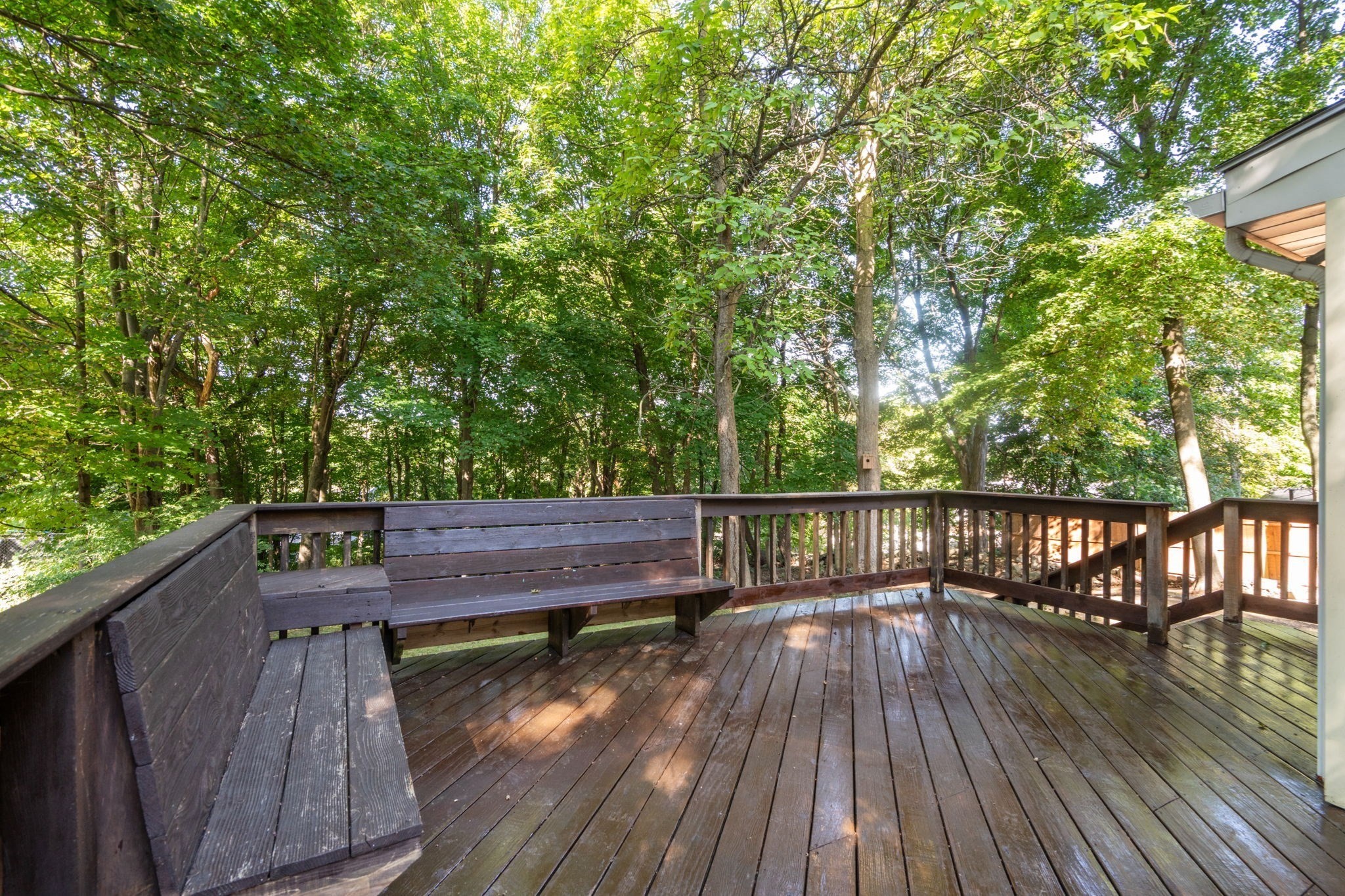 32 Elm Street Property Photo 40