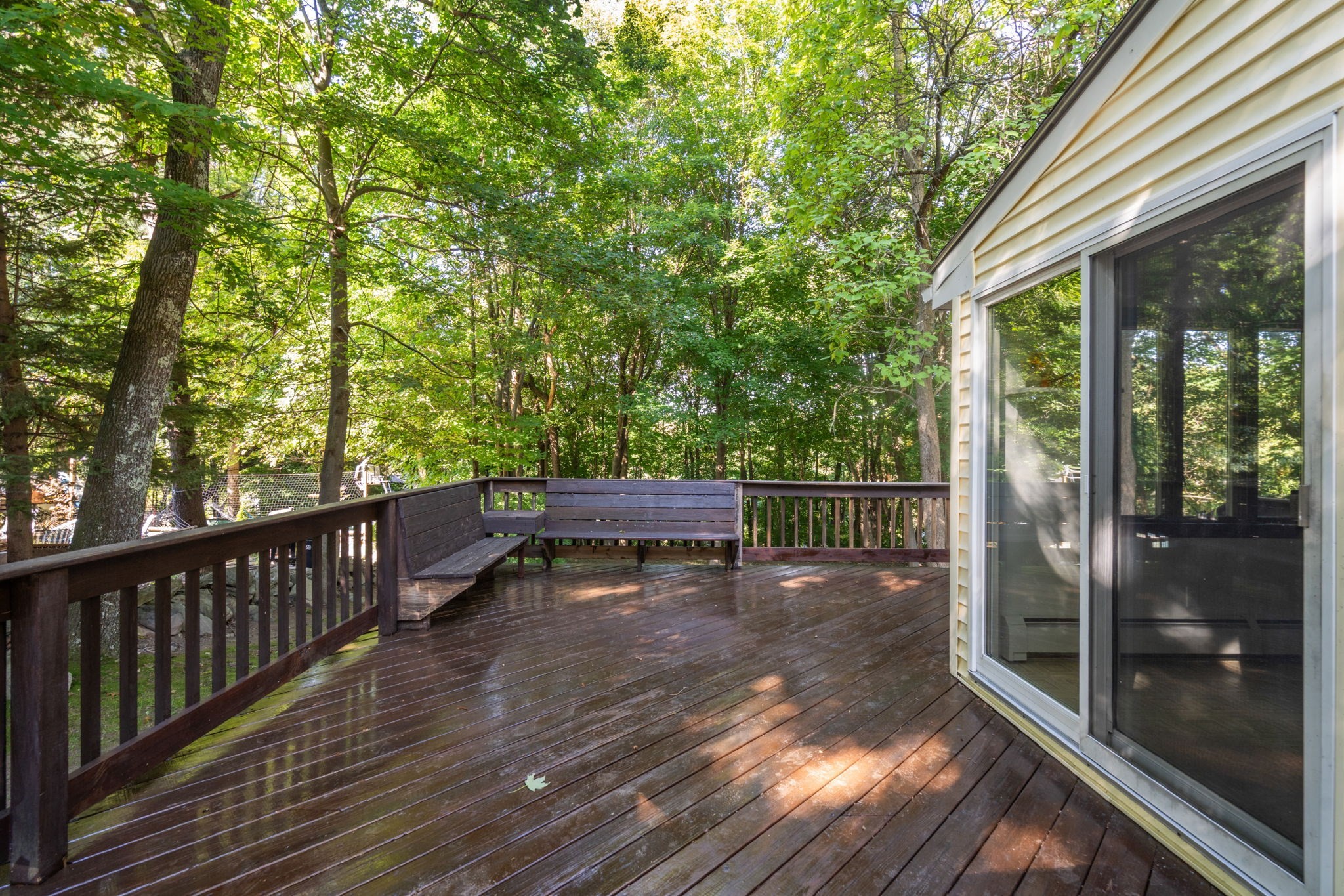 32 Elm Street Property Photo 41