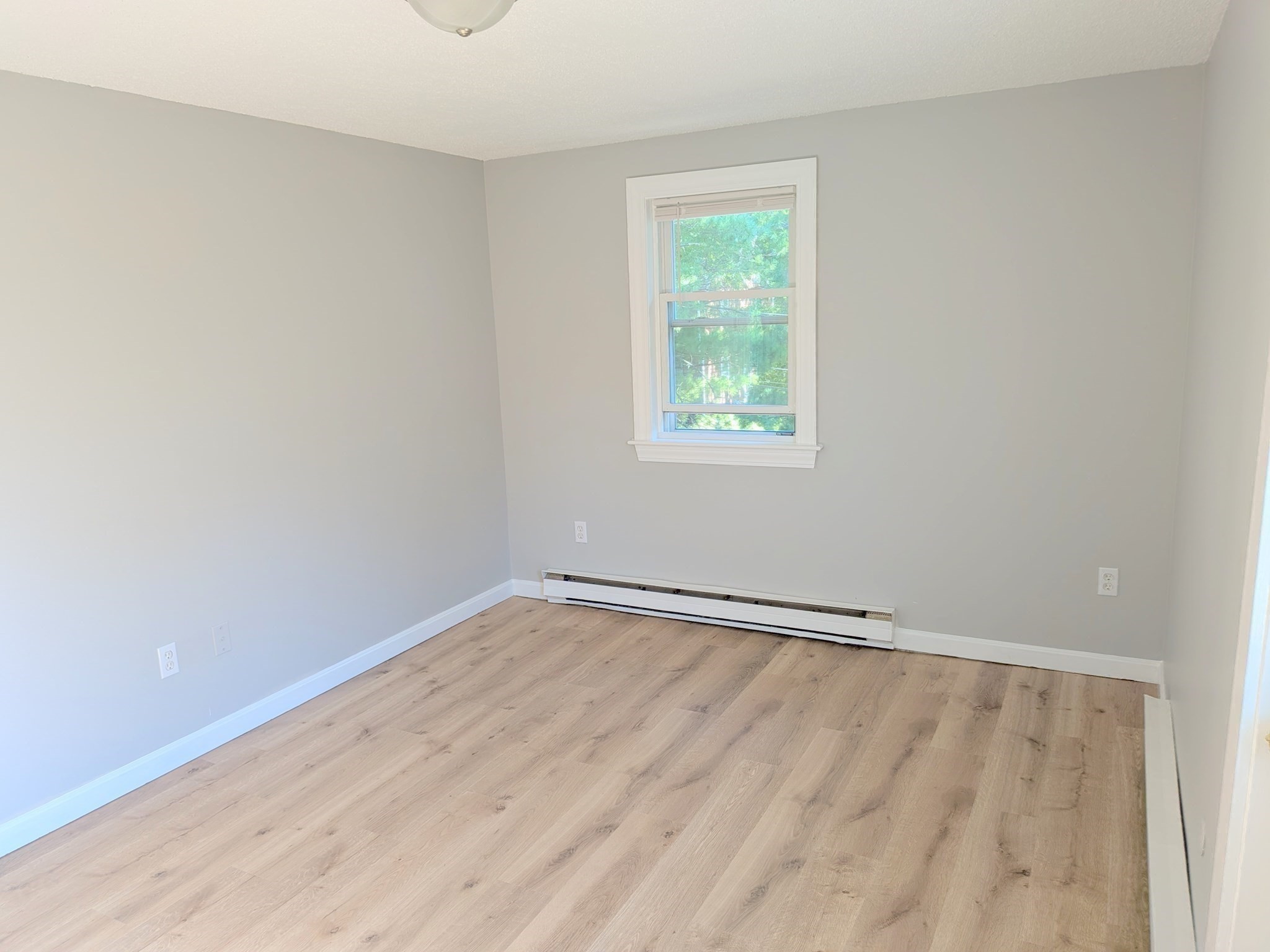 22 Hampson St # 6 Property Photo 15