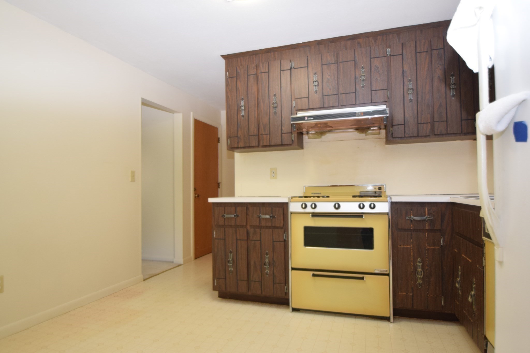 66 Mark Terrace # 66 Property Photo 18