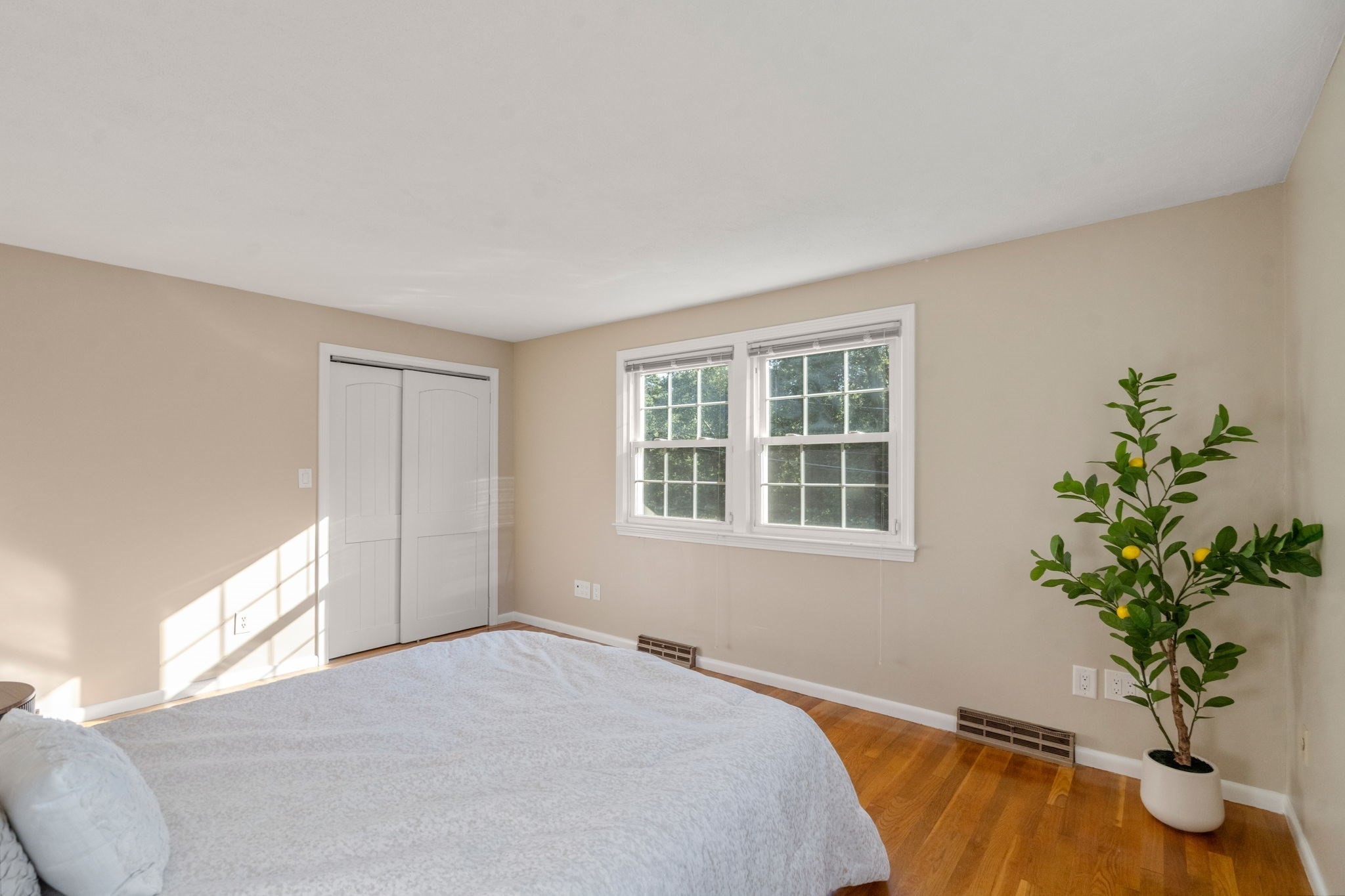 16 Bacon Rd Property Photo 18